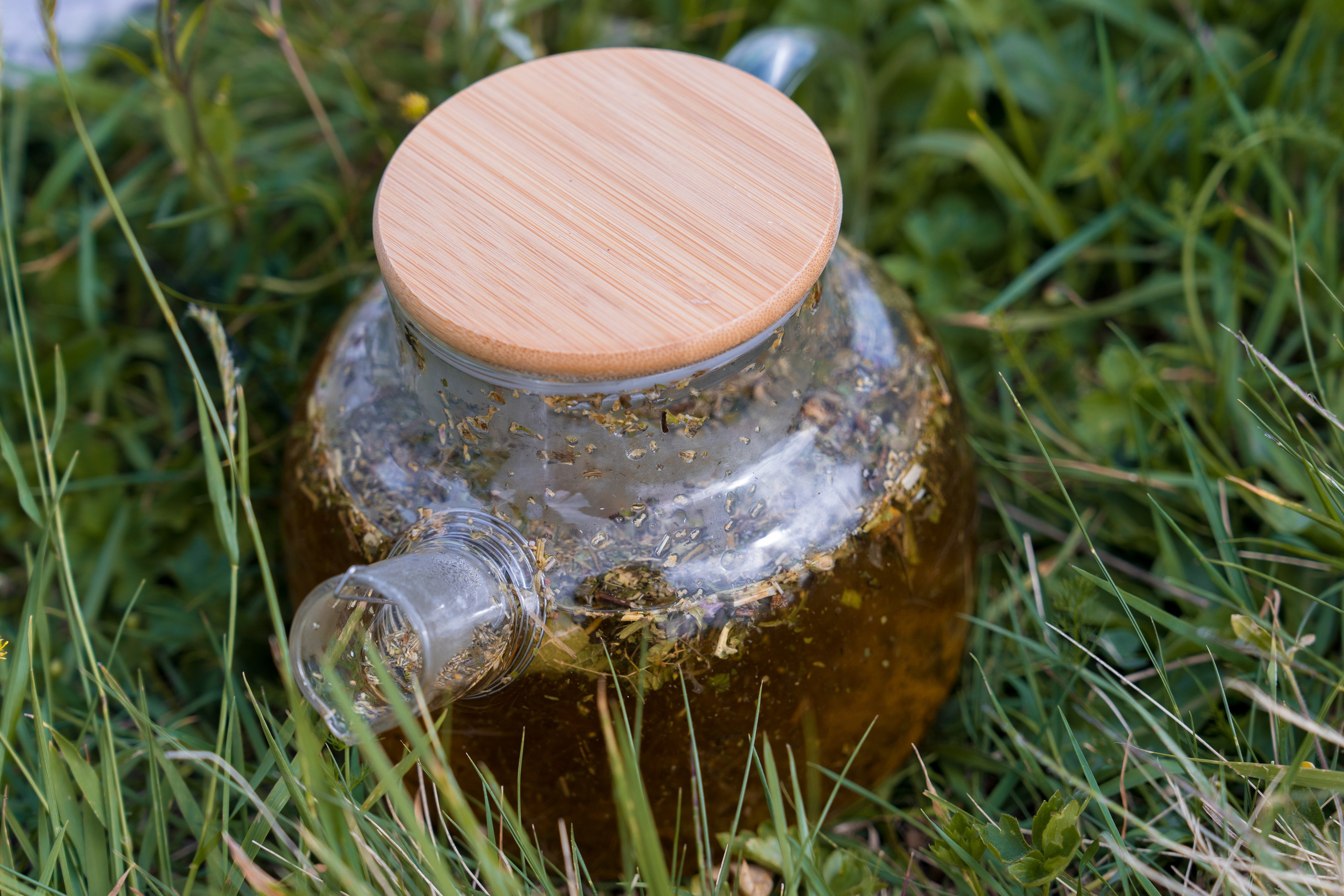 MICE мероприятие для компании «Доставка морем»: хайкинг к Ачипсинским водопадам. Репортажный фотограф в Красной Поляне и Сочи Павлюченко Екатерина