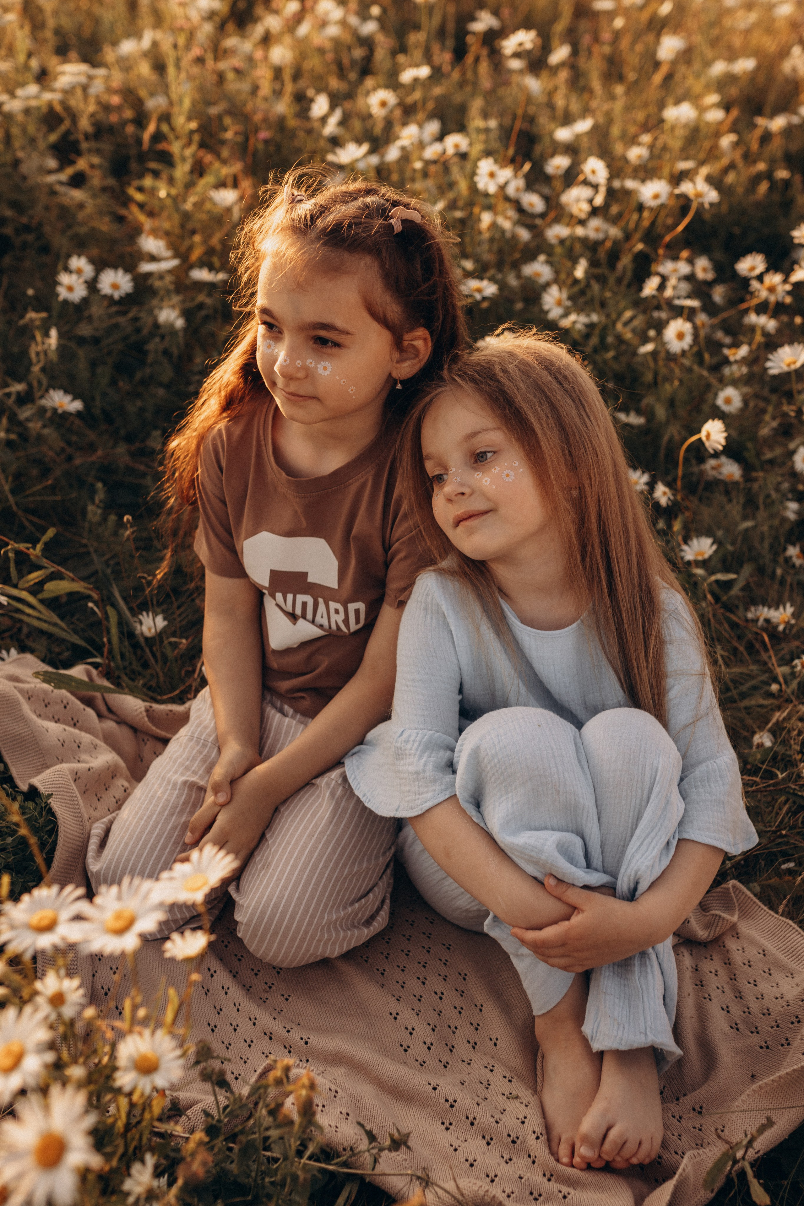 Закат на ромашковом поле. Фотограф в Ставрополе Svetlana Matveeva