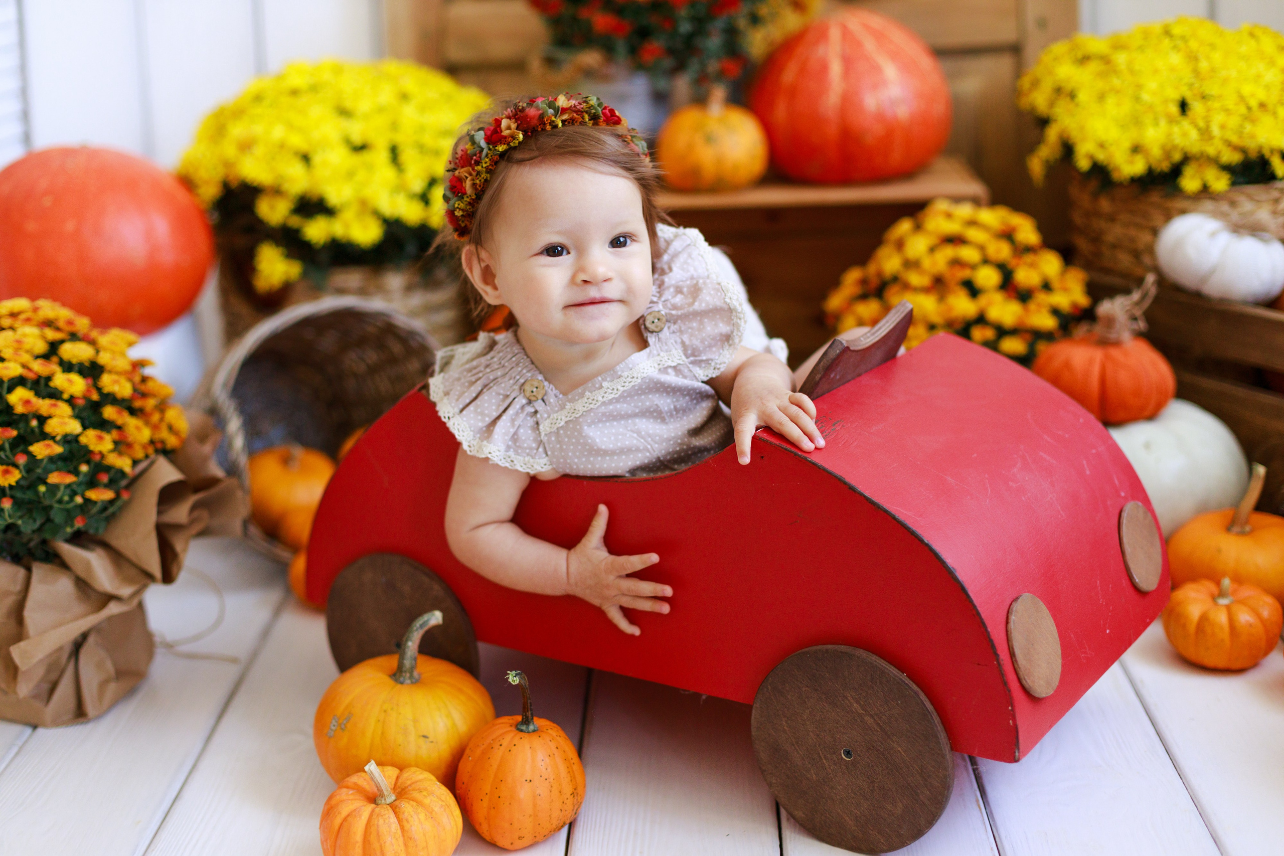 Осенняя детская фотосессия с тыквами и кроликом в Краснодаре. Детский и семейный фотограф в Краснодаре Альбина Морозова