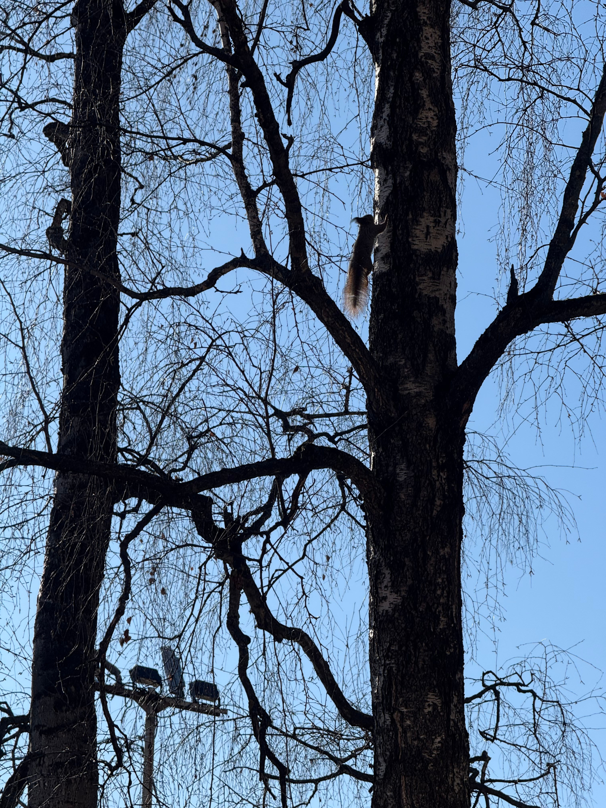 Фотограф Москва. Фотограф и художник в Москве Евгения Нюнина