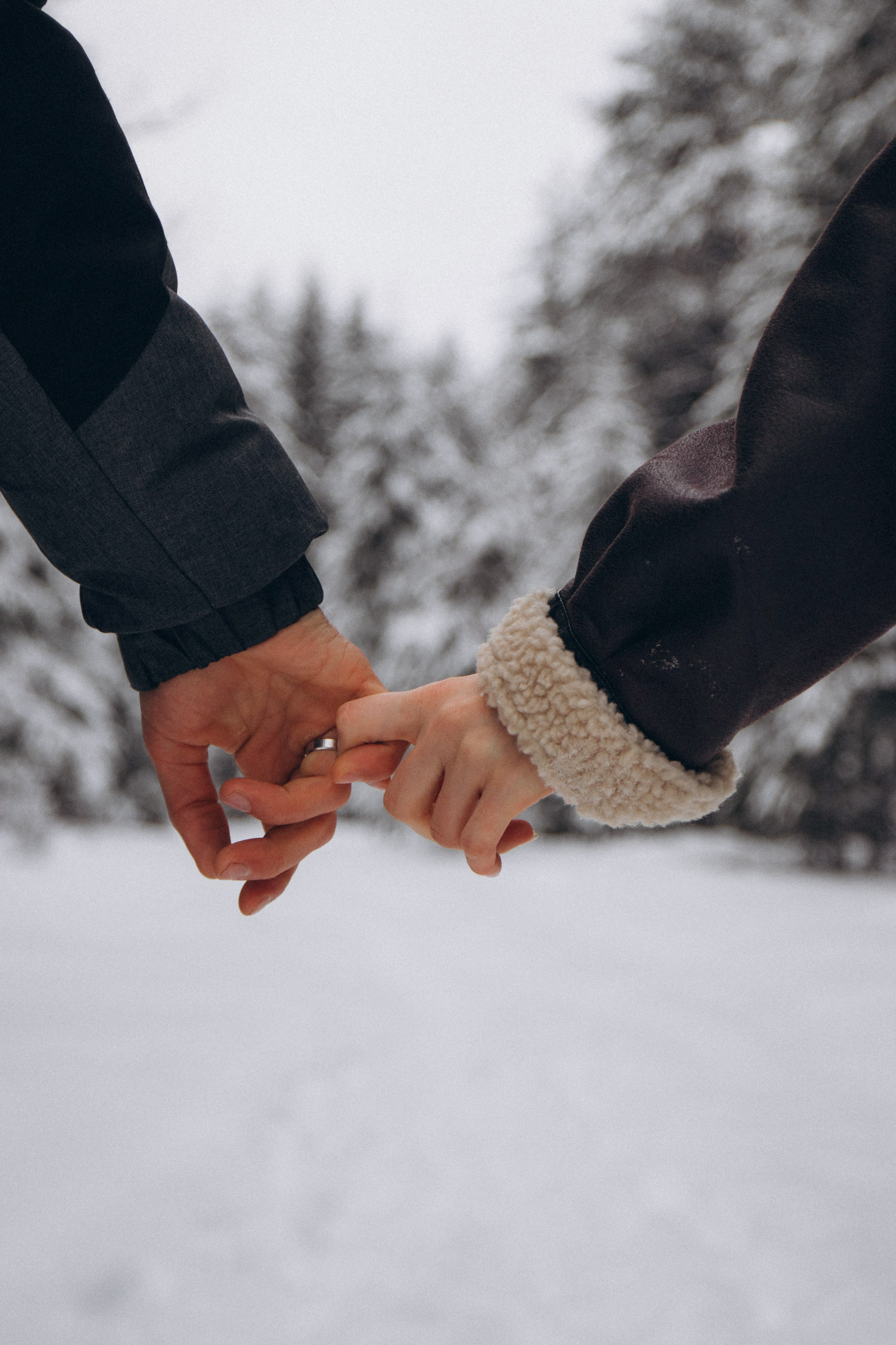 Услуги. Фотограф в Зато Озёрном и Тверской области