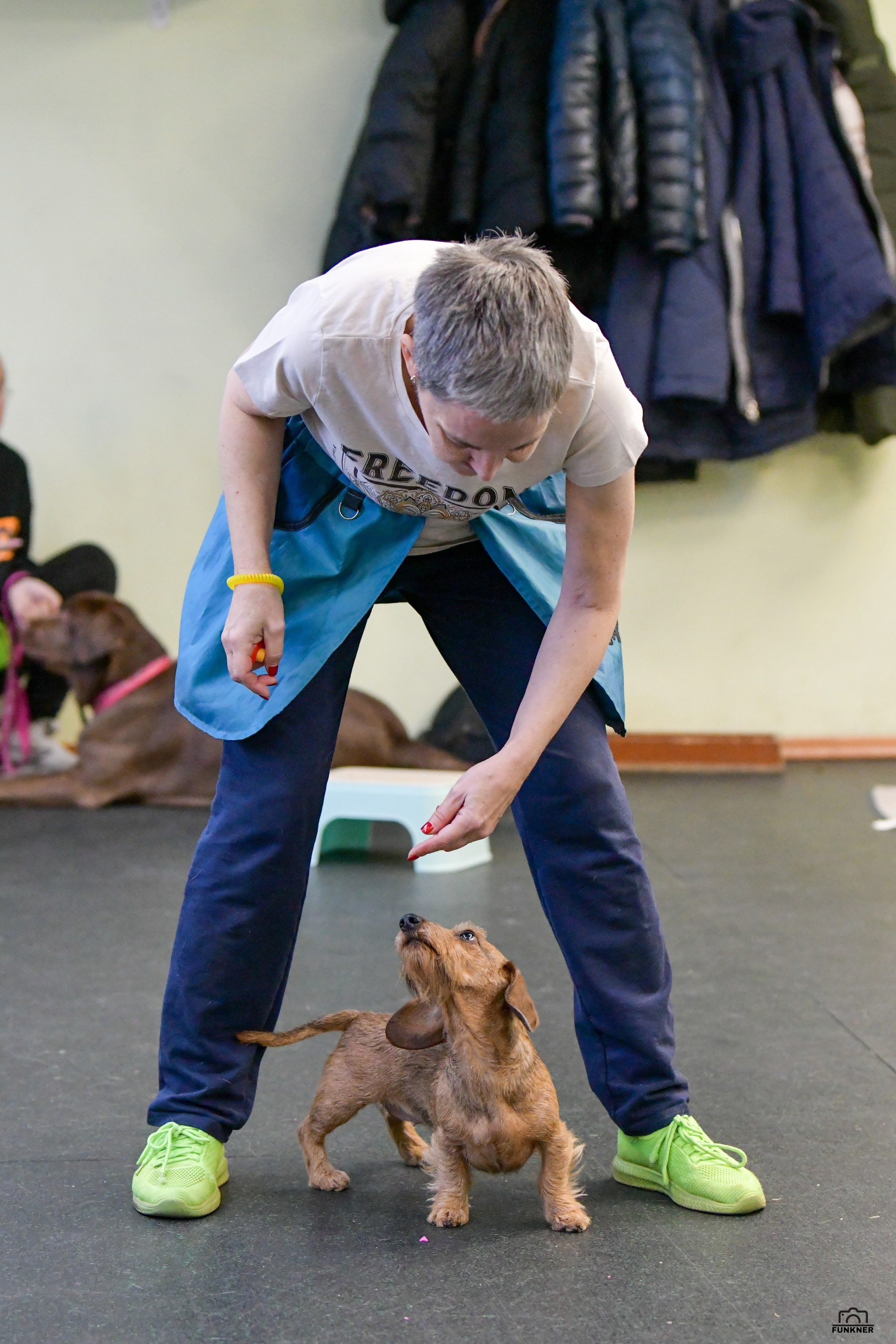 Кинологический клуб «Бодрый хвост». Свой взгляд через объектив
