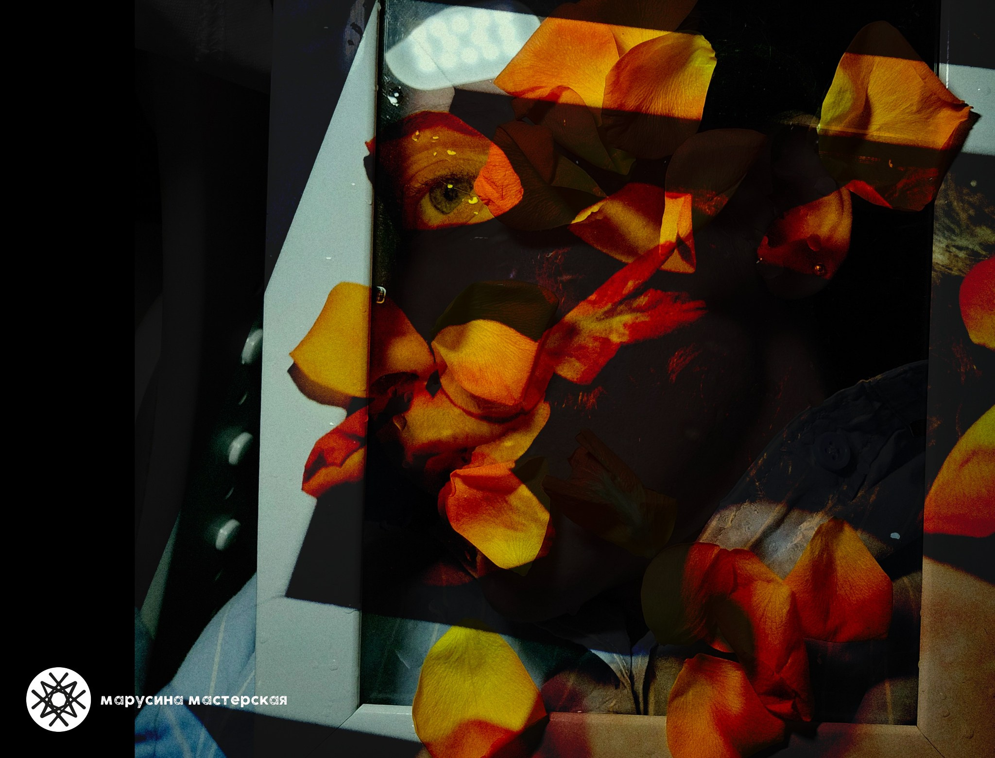 Светлана Басова