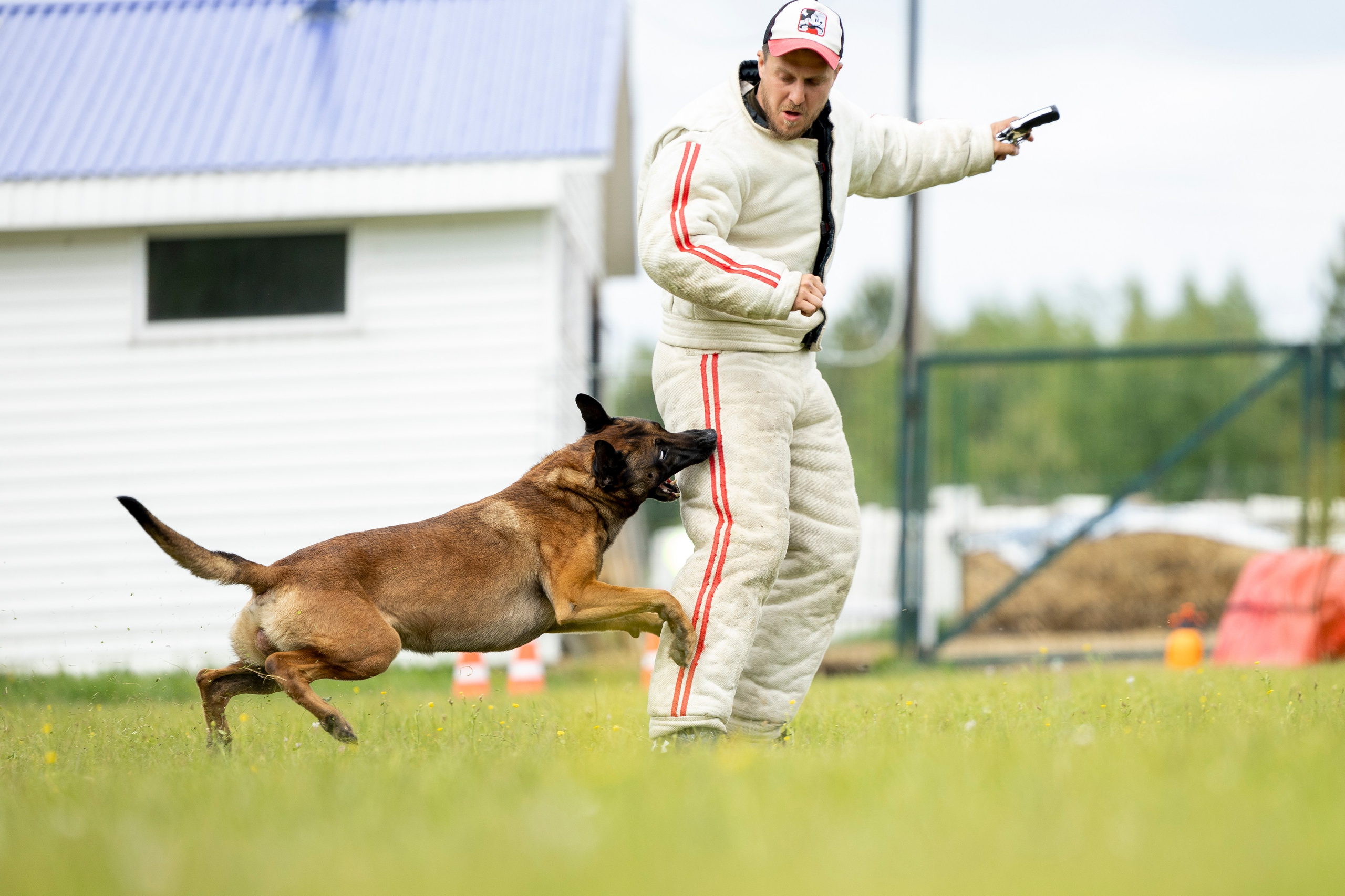 Испытания по мондьорингу в Нижнем Новгороде. Фотограф-анималист Анна Маринич
