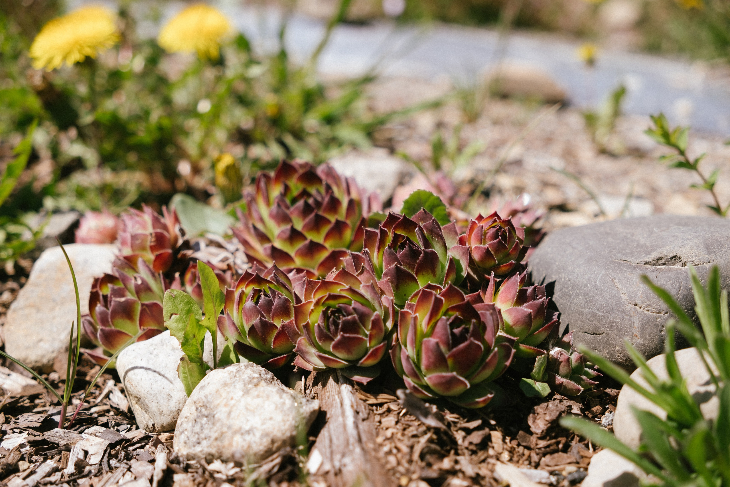 Экологический форум. Фотограф в Иркутске Анна Мирошникова