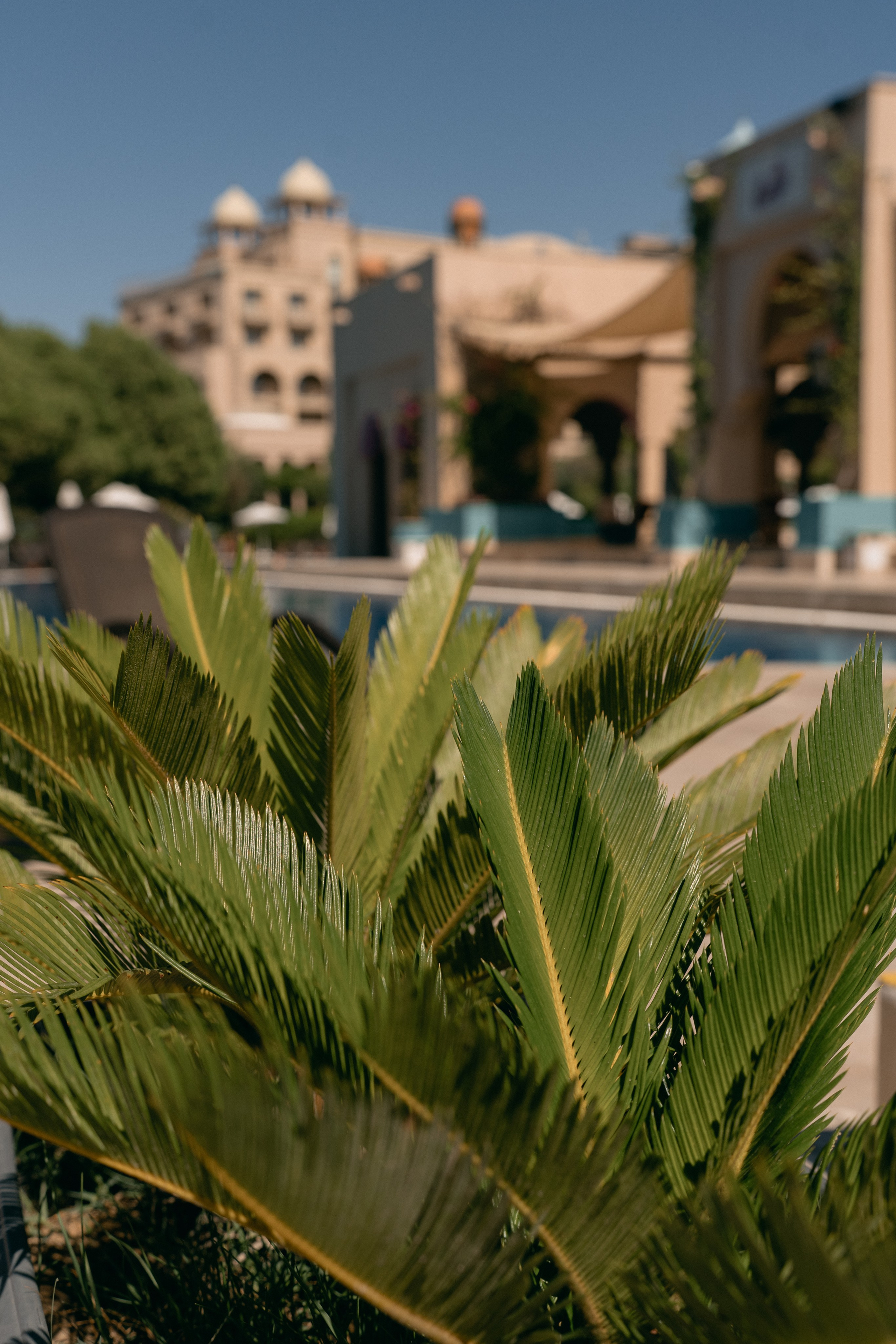 American-Russian Wedding. Wedding & Documentary Photographer based in Nuremberg — available across Europe & Turkey | Vitalii Nasonov