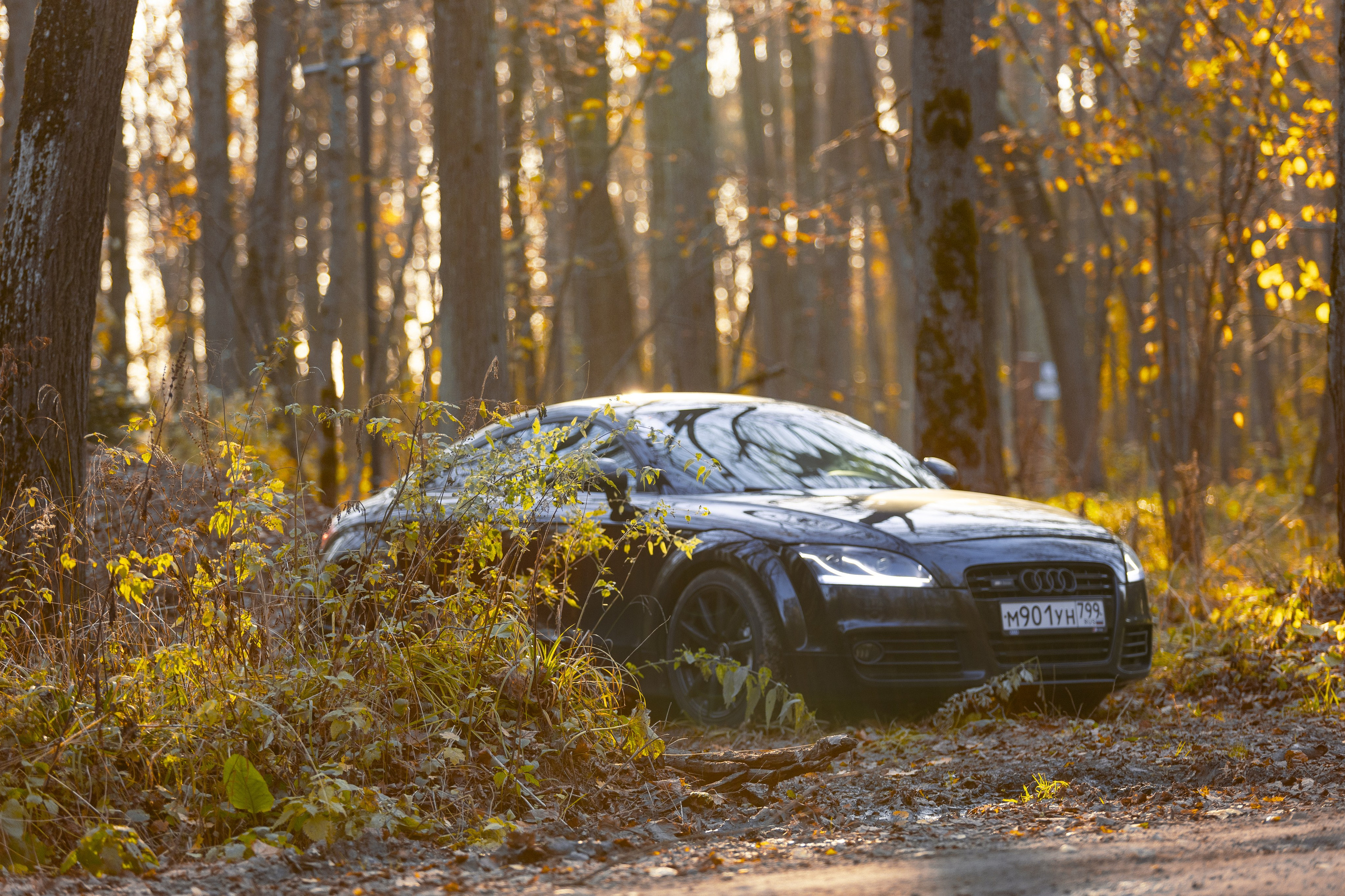 Автомобили и мотоциклы. Фотограф Ольга Гирусова «Пантерочка» Москва