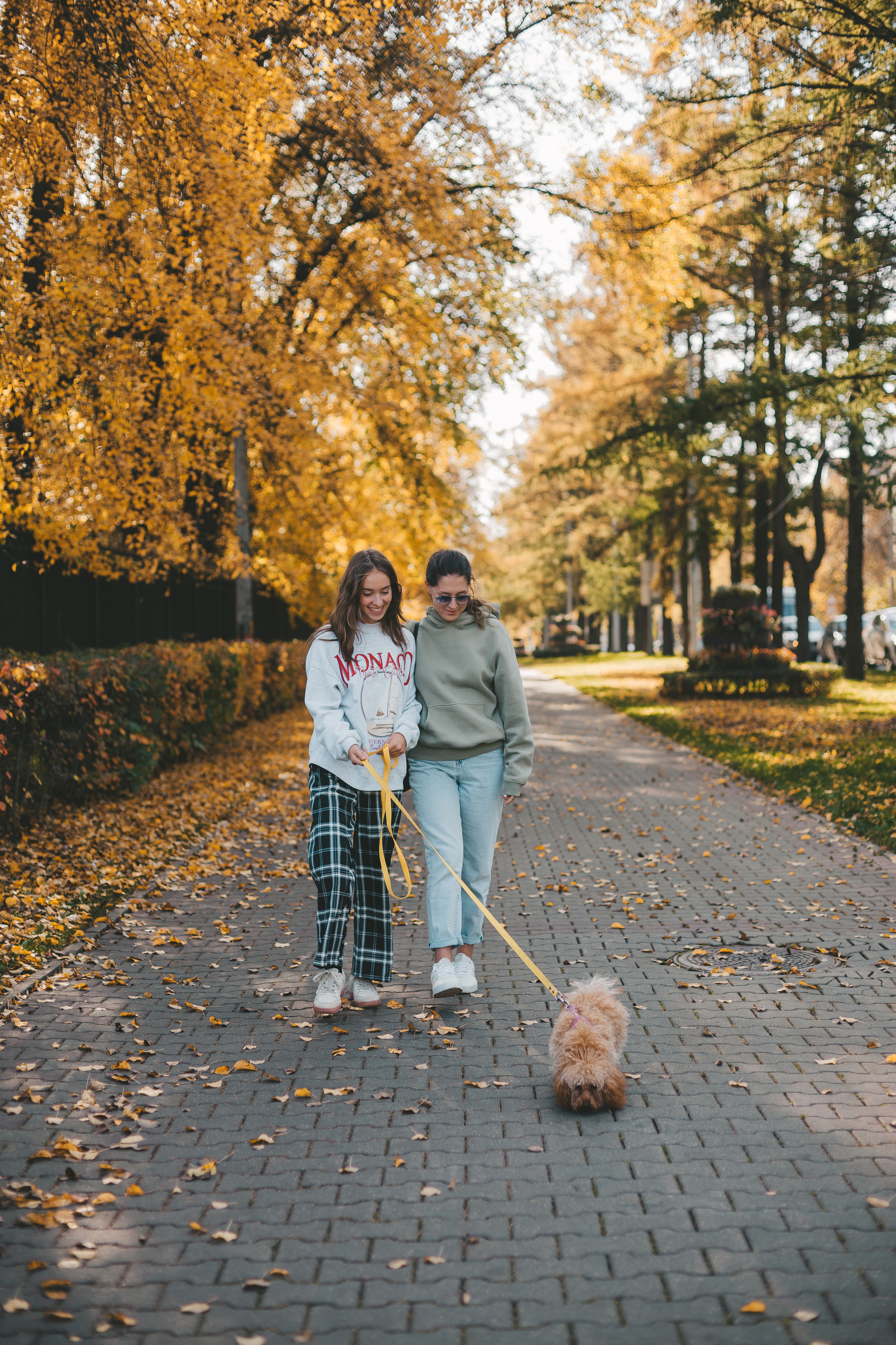 осенняя фотосессия, две девушки сестры и маленькая собачка