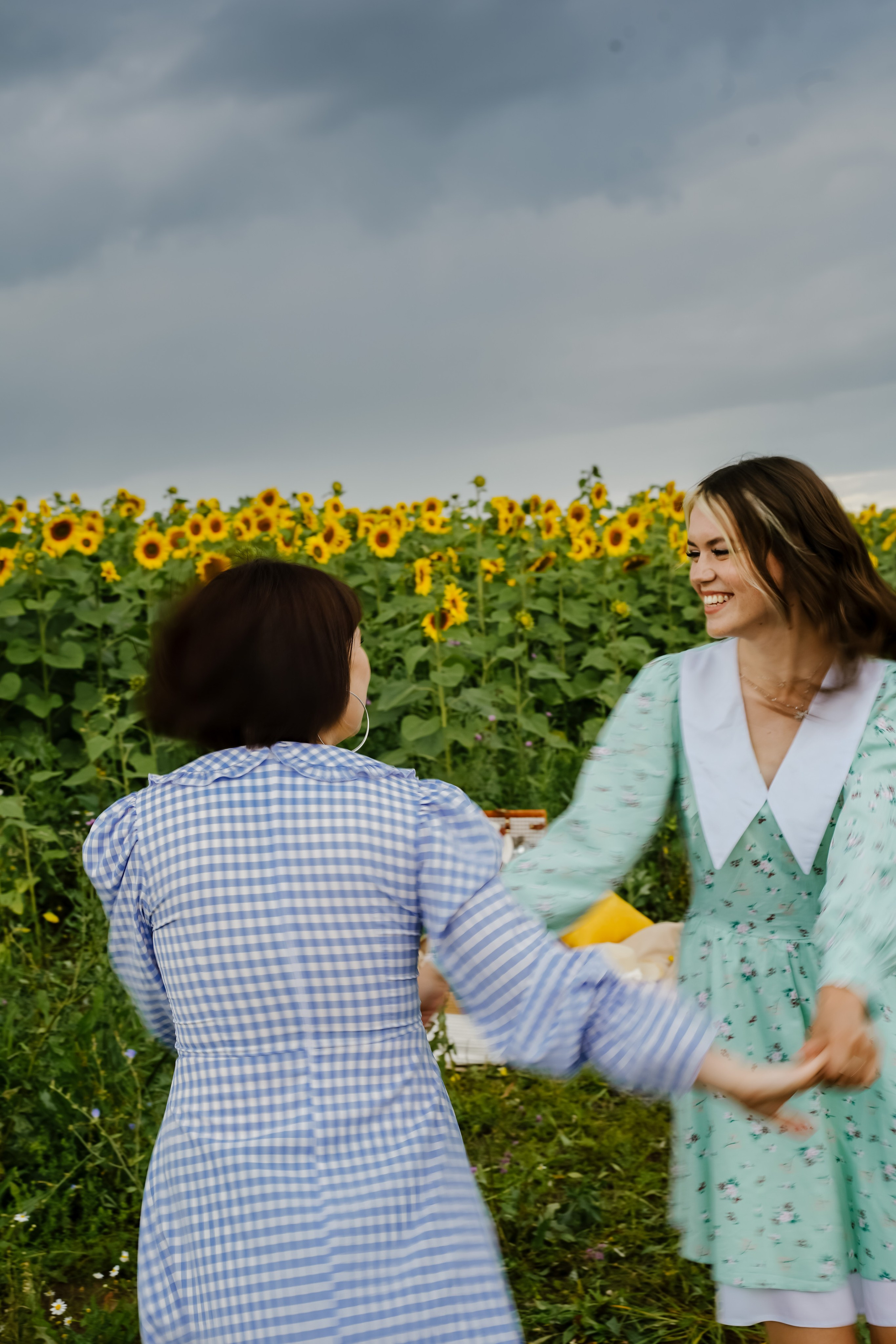 Подсолнухи. Бирск