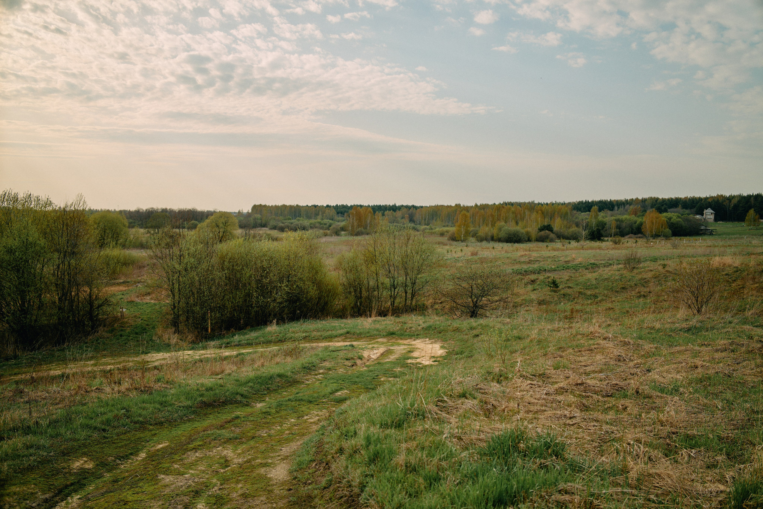 Бутик-отель Поле летом. Профессиональный Фотограф во Владимире, в Москве и в Суздале — Полина Романычева