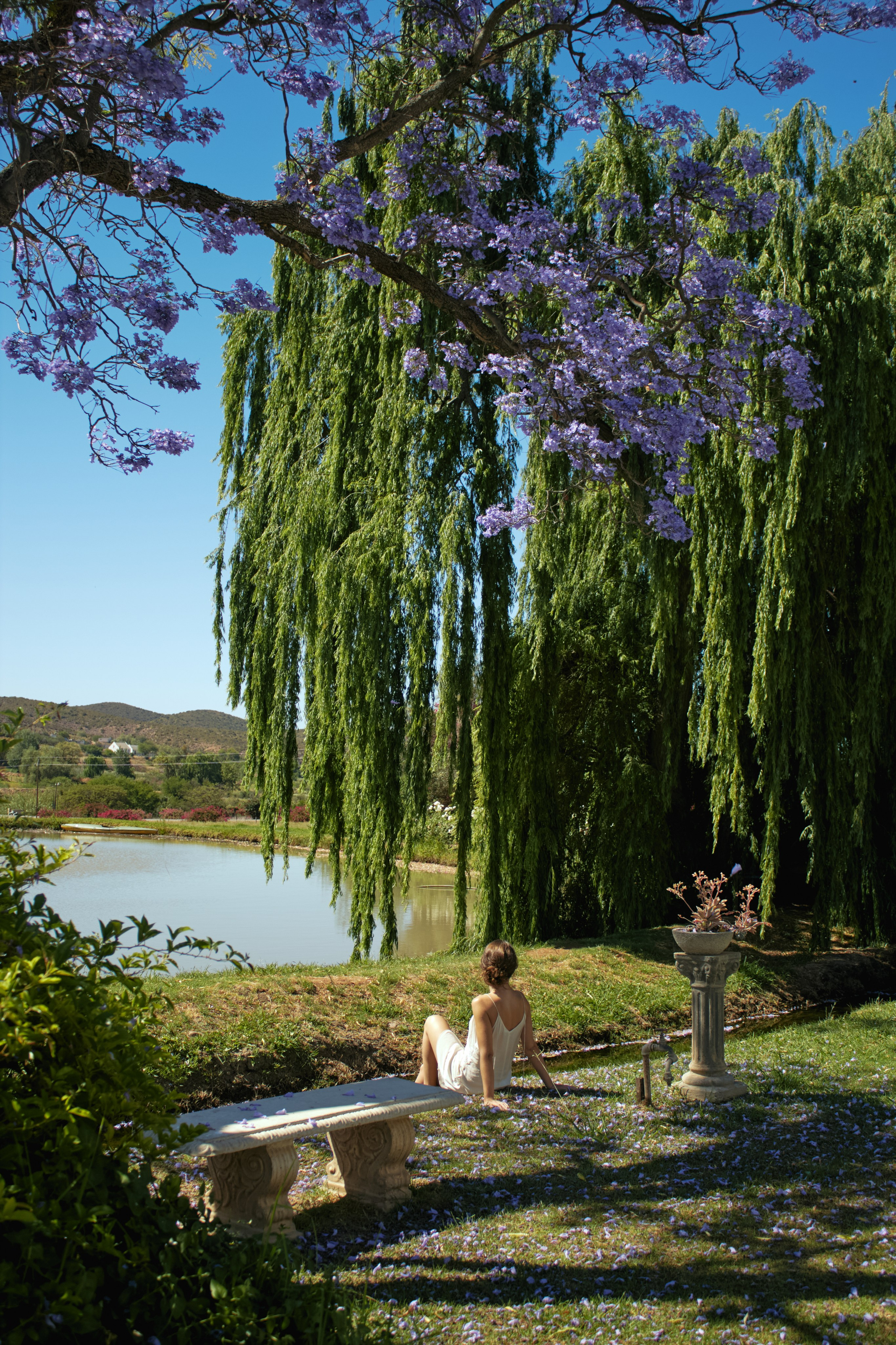 ЮАР. Профессиональный Фотограф во Владимире, в Москве и в Суздале — Полина Романычева