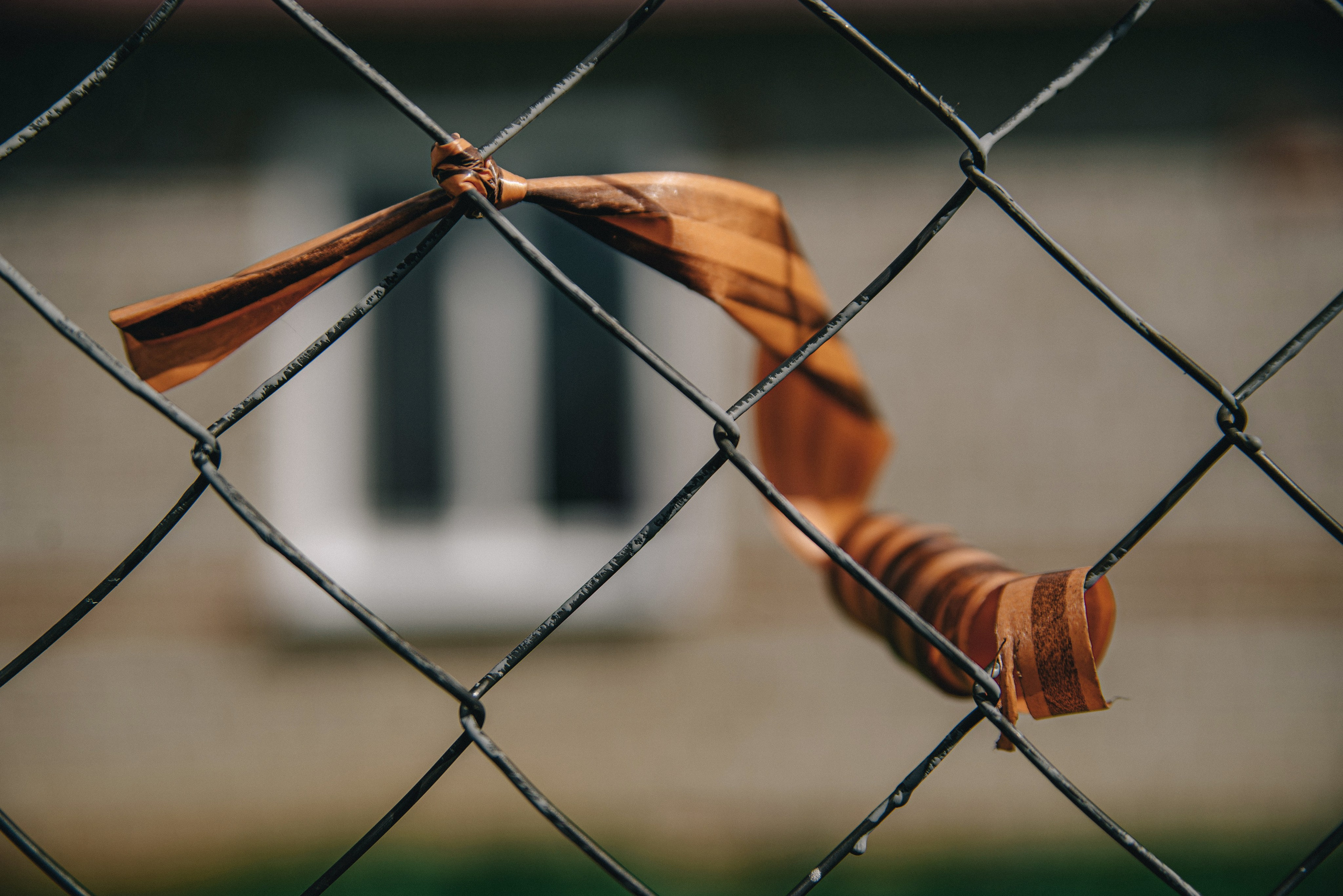 XIV Автопробег 2024 «Ветеранам глубинки — заботу и внимание» (маршрут № 3). Фотограф в Самаре Елена Фомина