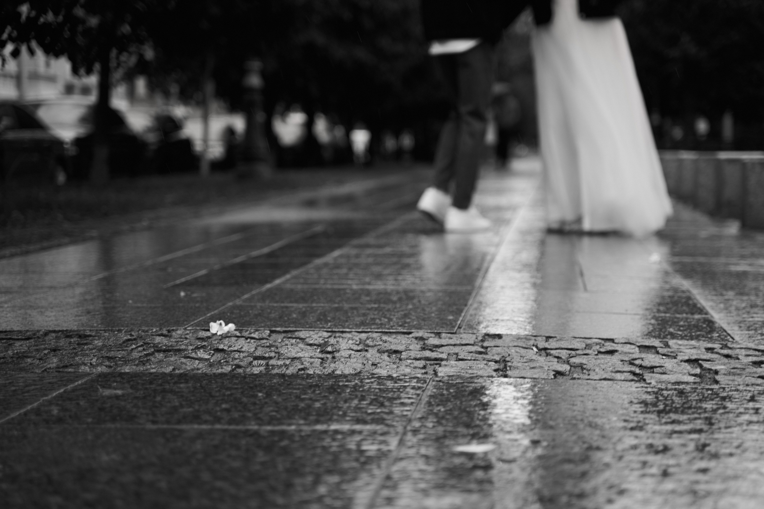 Свадебная серия. Свадебный и Репортажный фотограф в Санкт-Петербурге Дмитрий Бирцев