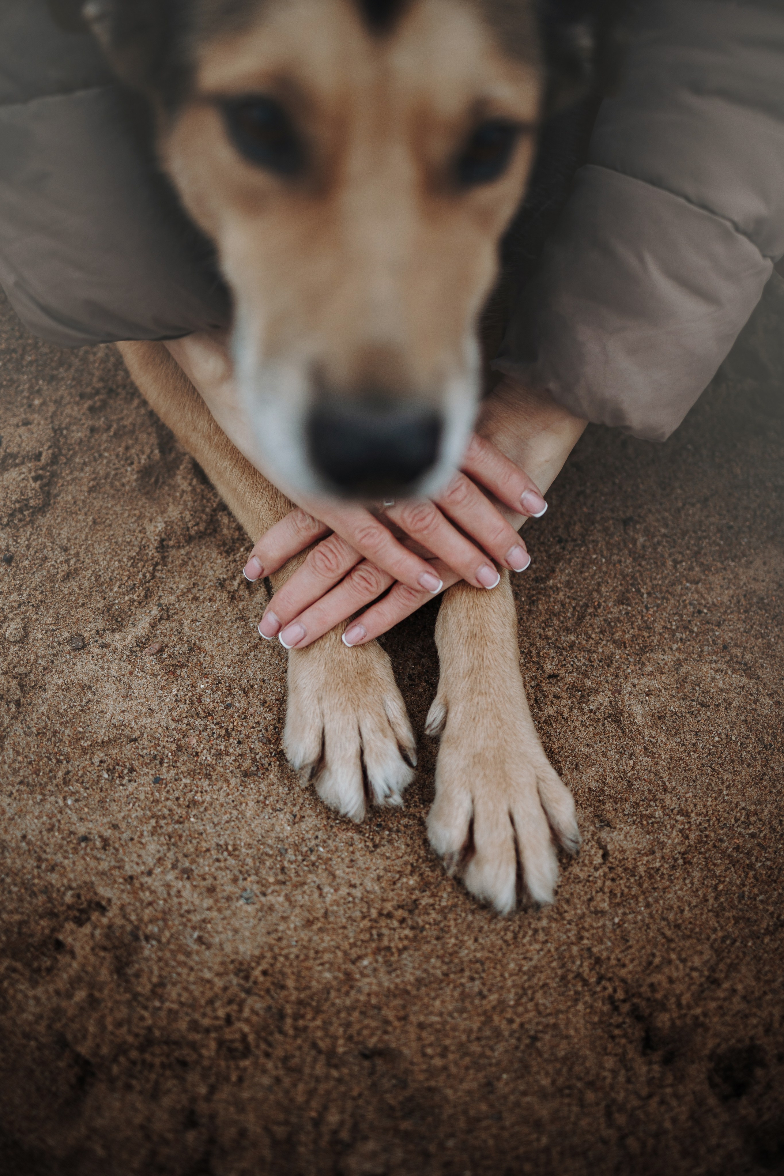Наталья и Того. Фотограф — Анималист | Санкт-Петербург