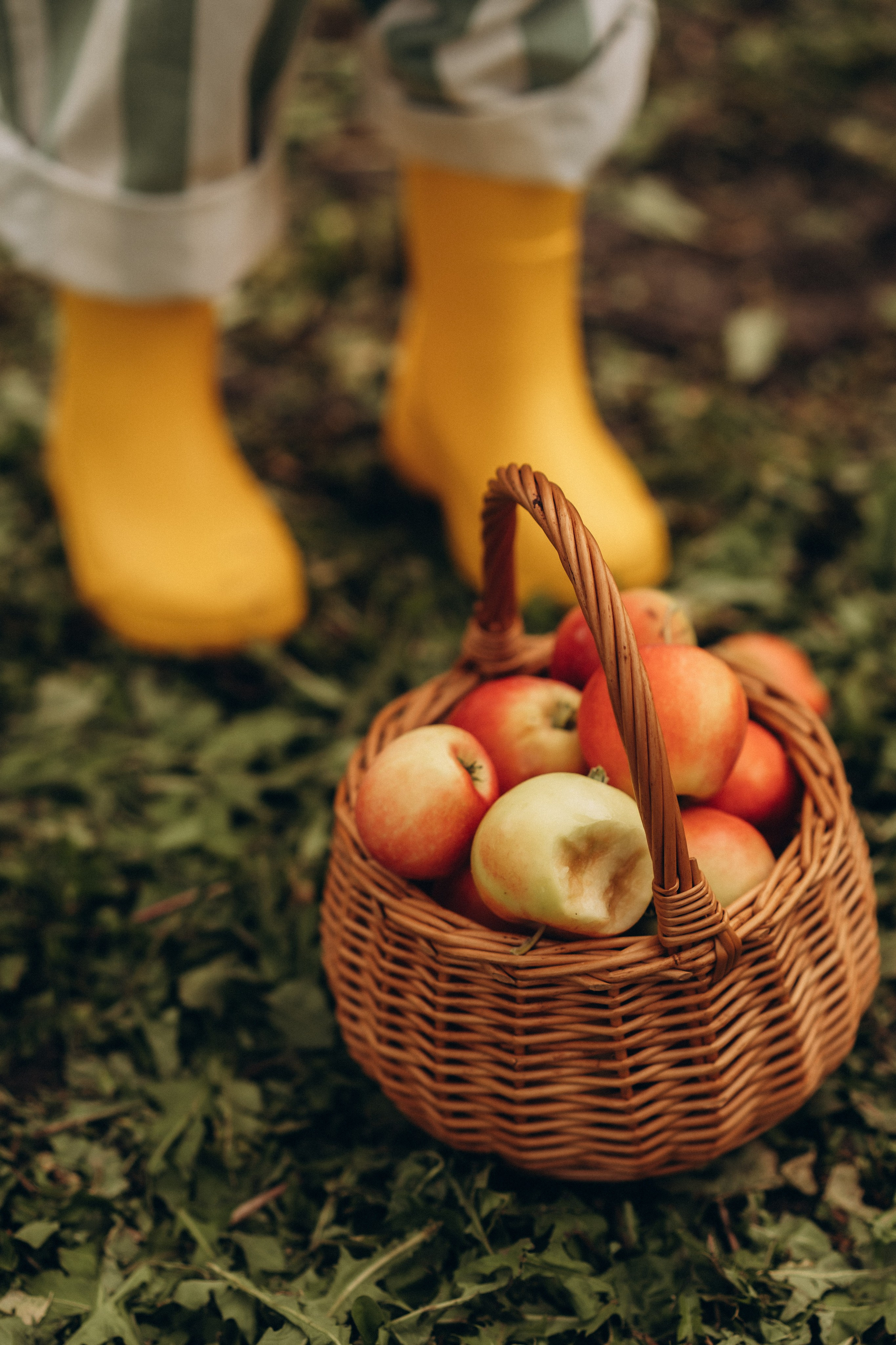 Удачные дела. Семейный фотограф в Ангарске/ Иркутске