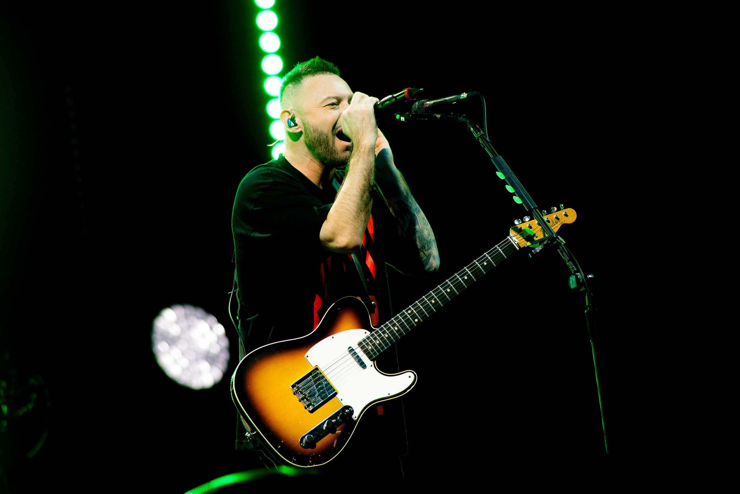 Звери 2025. Репортажный фотограф в Кемерово