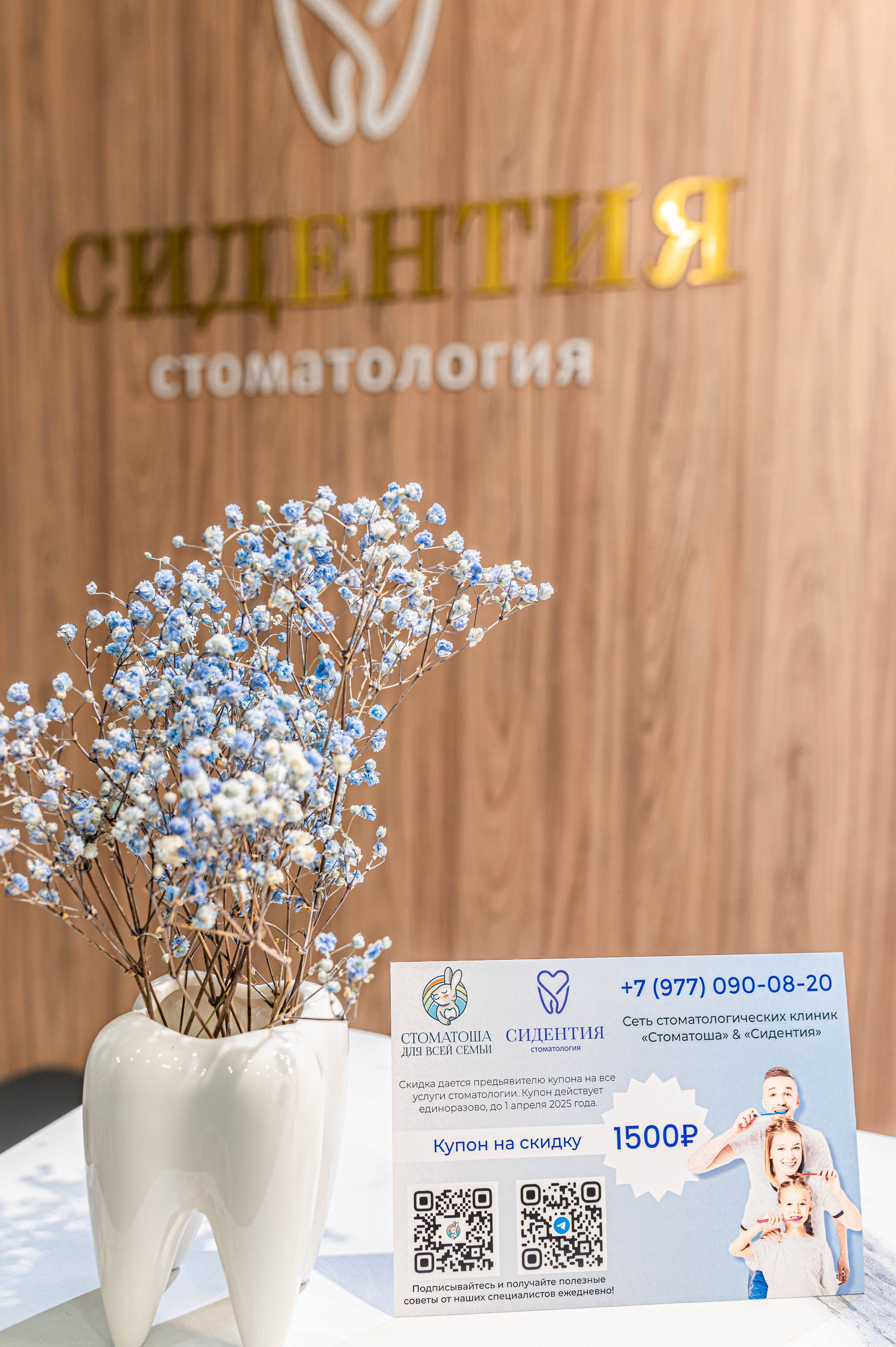 Стоматология «Сидентия». Интерьерный фотограф в Ярославле. Вероника Лазыкина