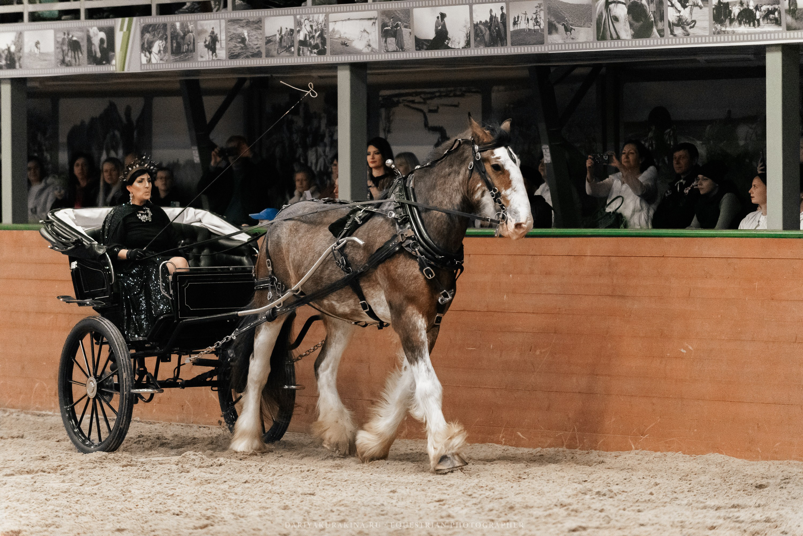 Конное представление «Дыхание Звёзд». Конный фотограф Куракина Дарья • Фотосессии с лошадьми