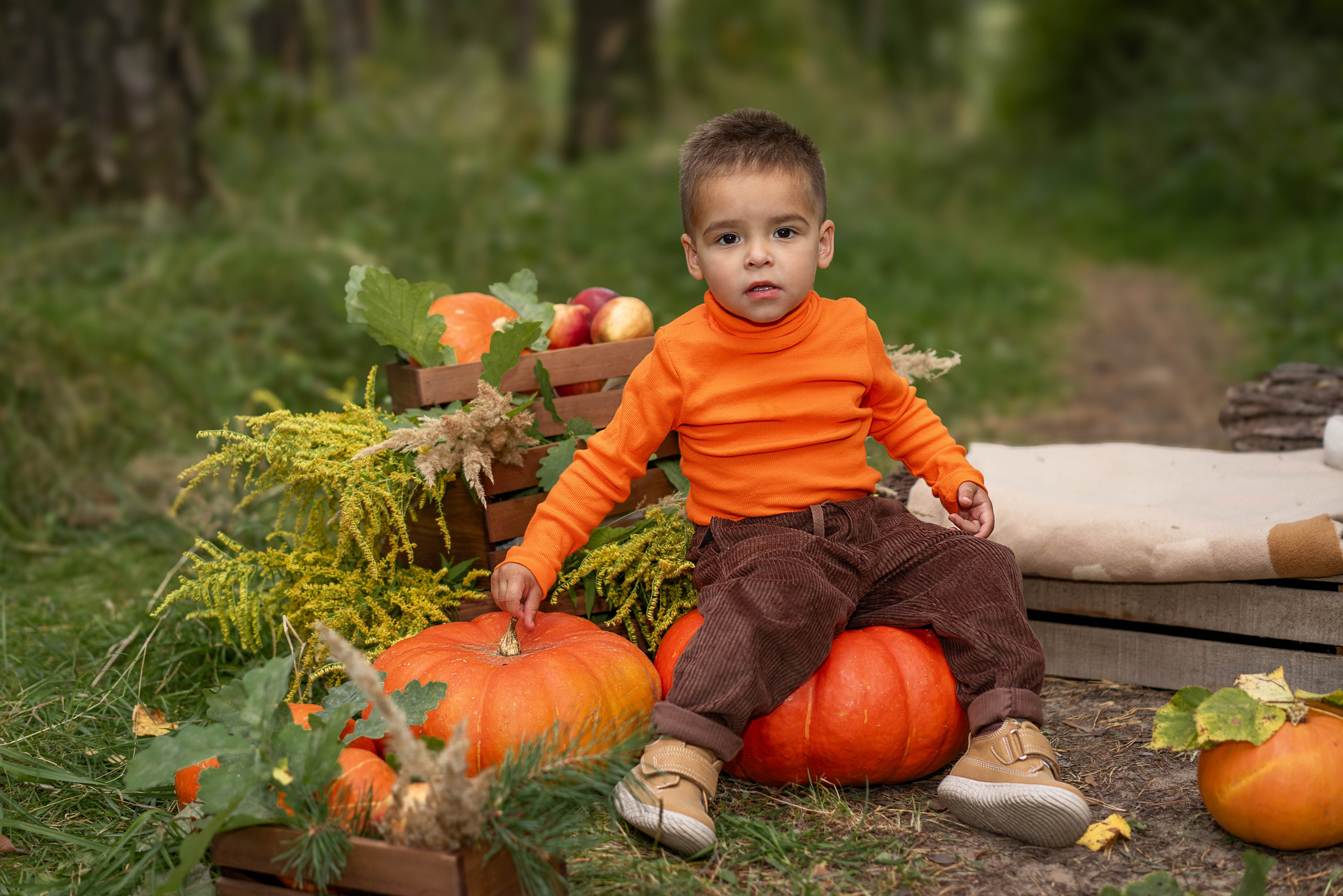 Осенняя семейная