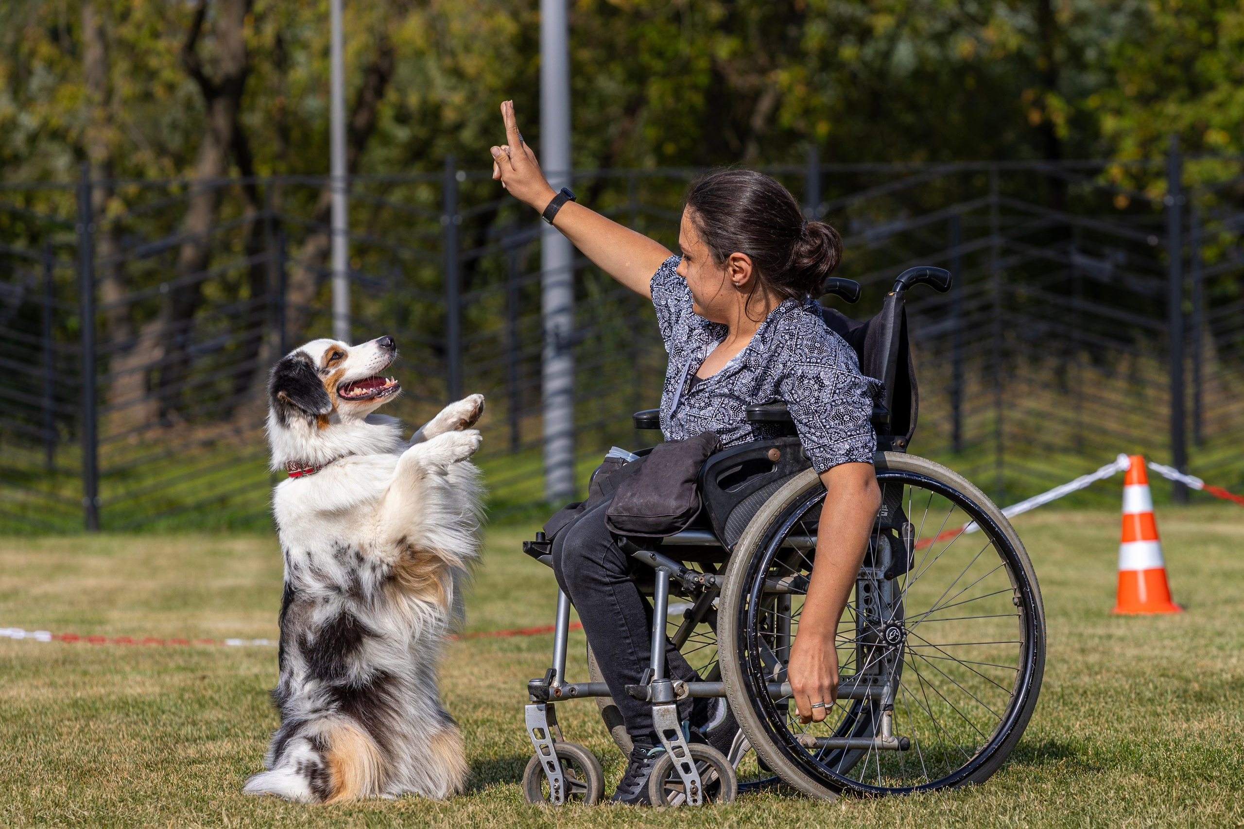 Съемка мероприятия: конкурс по танцам с собаками. Фотография. Юрий Савин