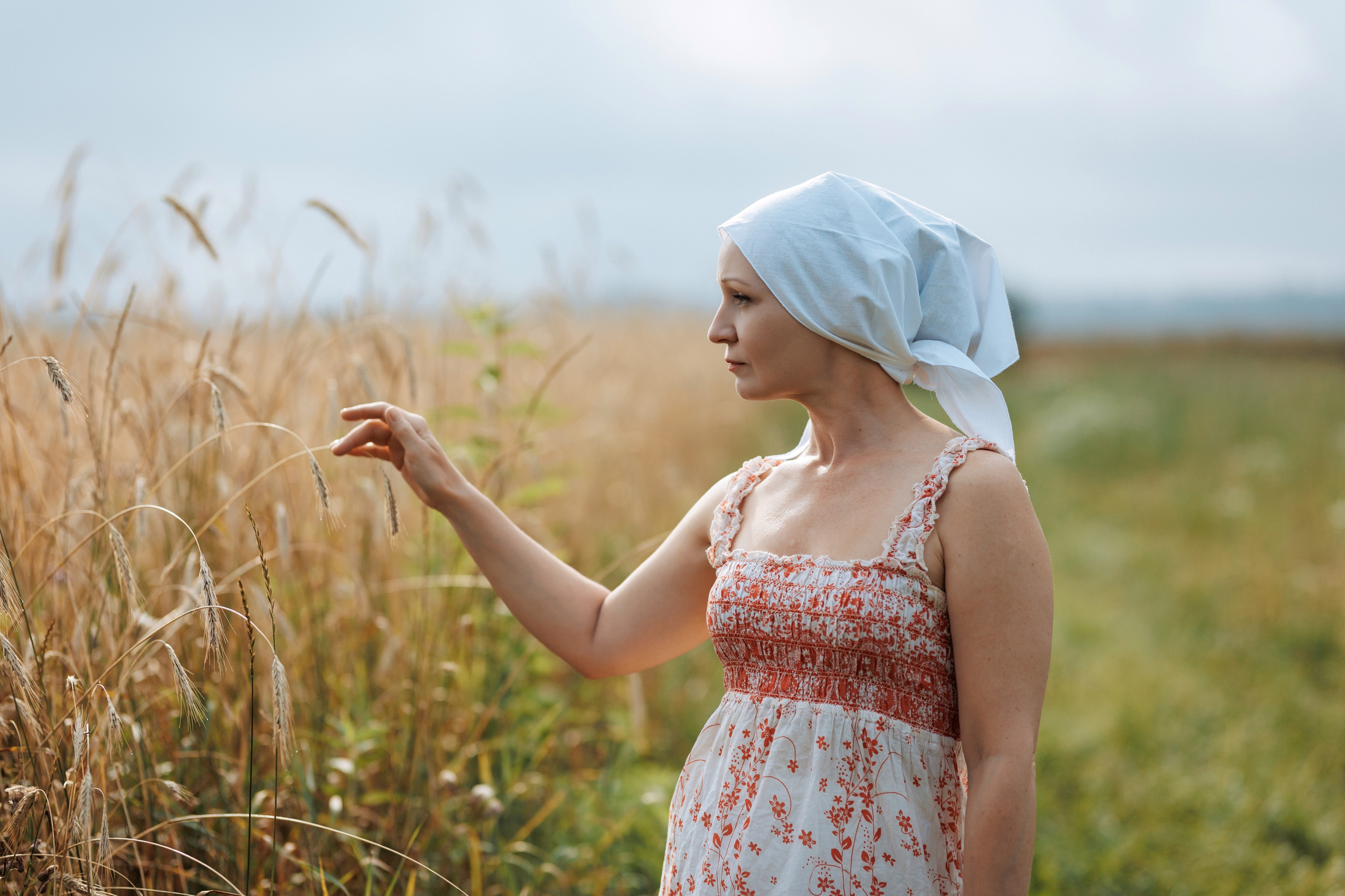 2025-08-10. Пшеничное поле