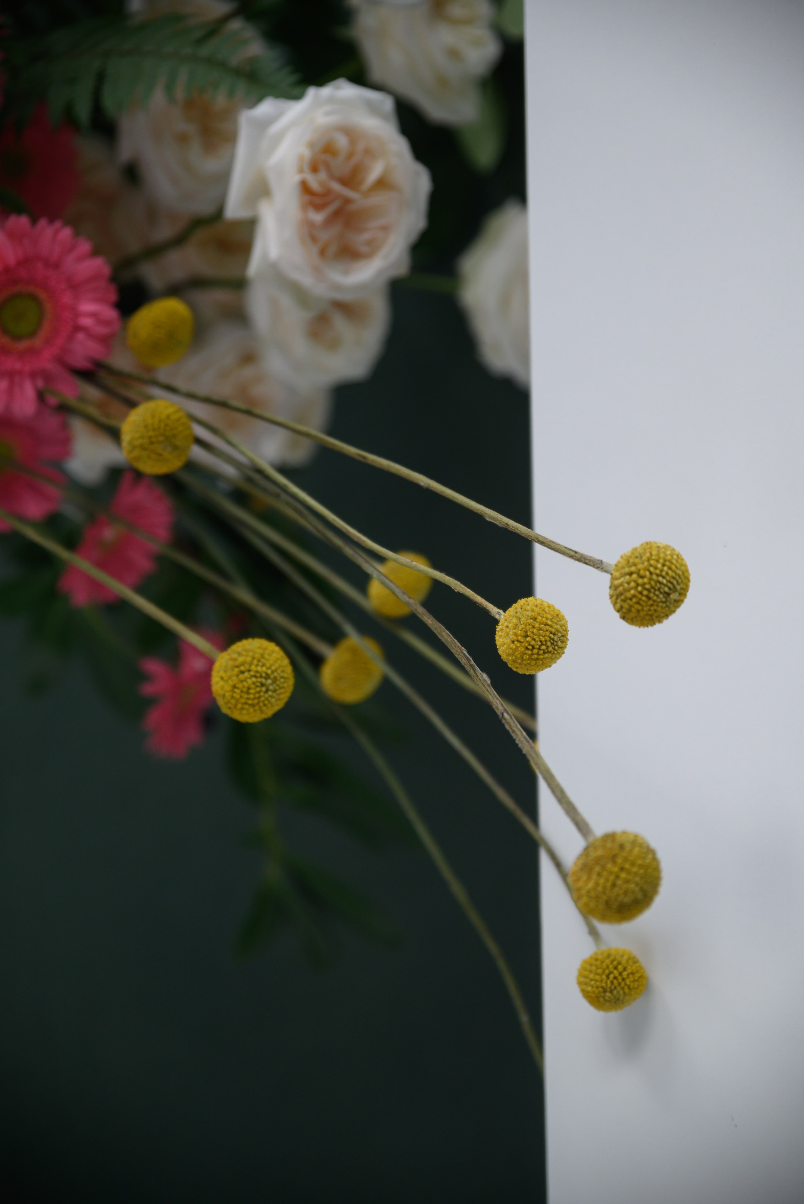 Павел & Ольга (церемония). Свадебный, семейный, женский фотограф в Москве, Мытищах, Королёве Ксения Узилле