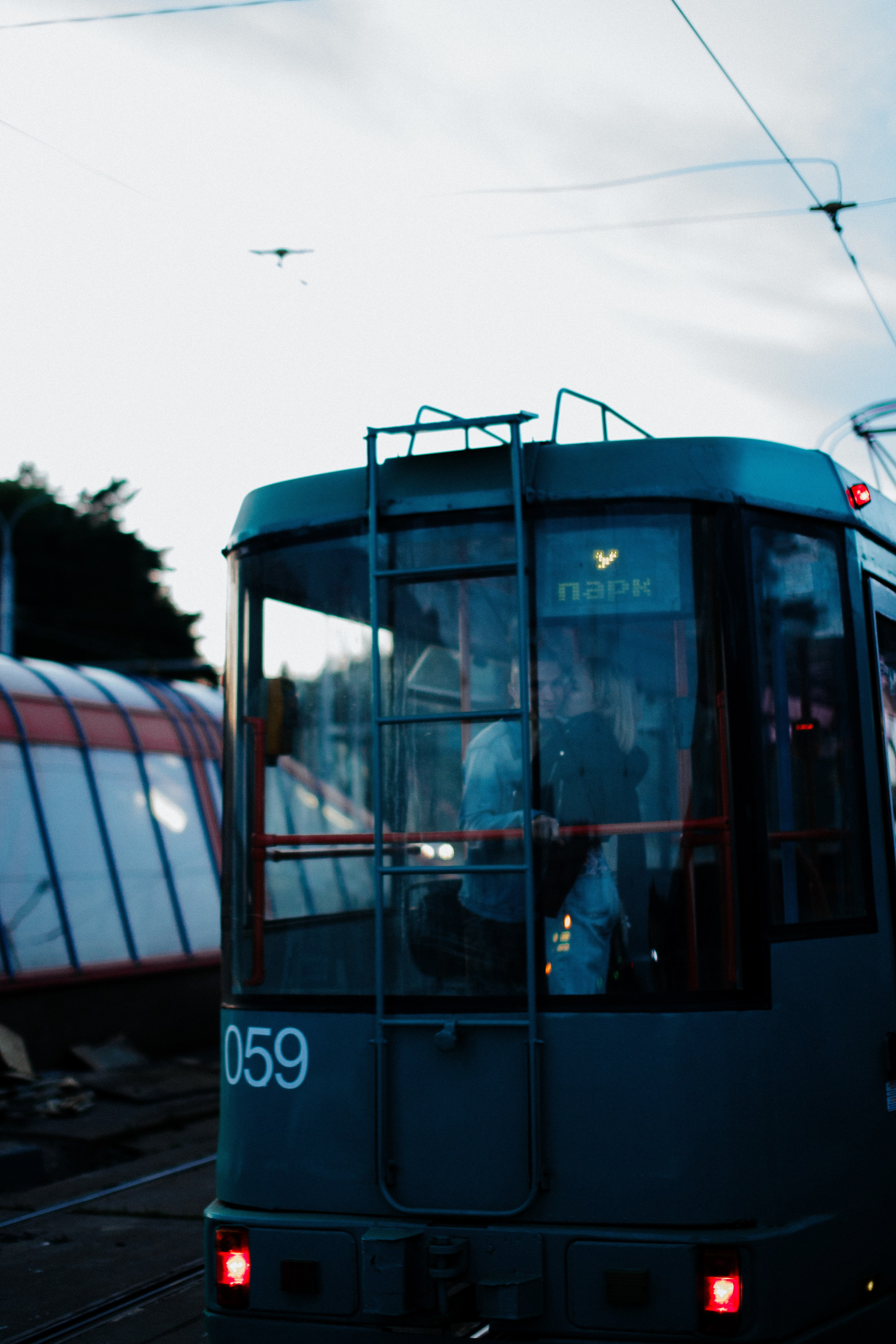 Lovestory. Фотограф Владислав Деревнюк