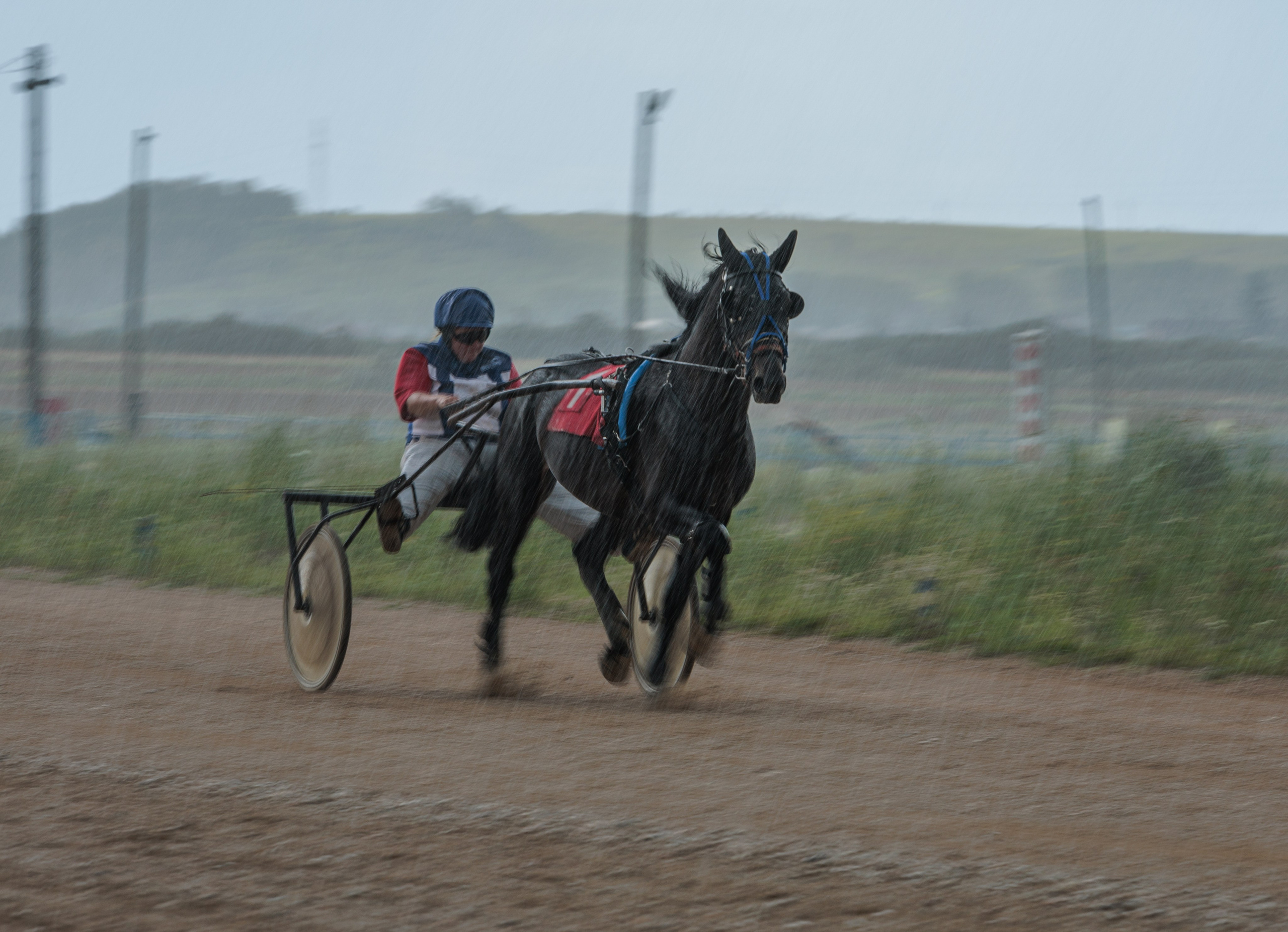 2025. Конный фотограф в Красноярске — Любовь Похабова