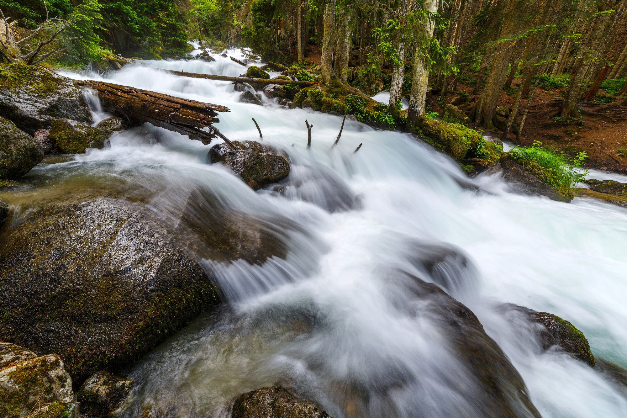 Свадебный фотограф в Геленджике