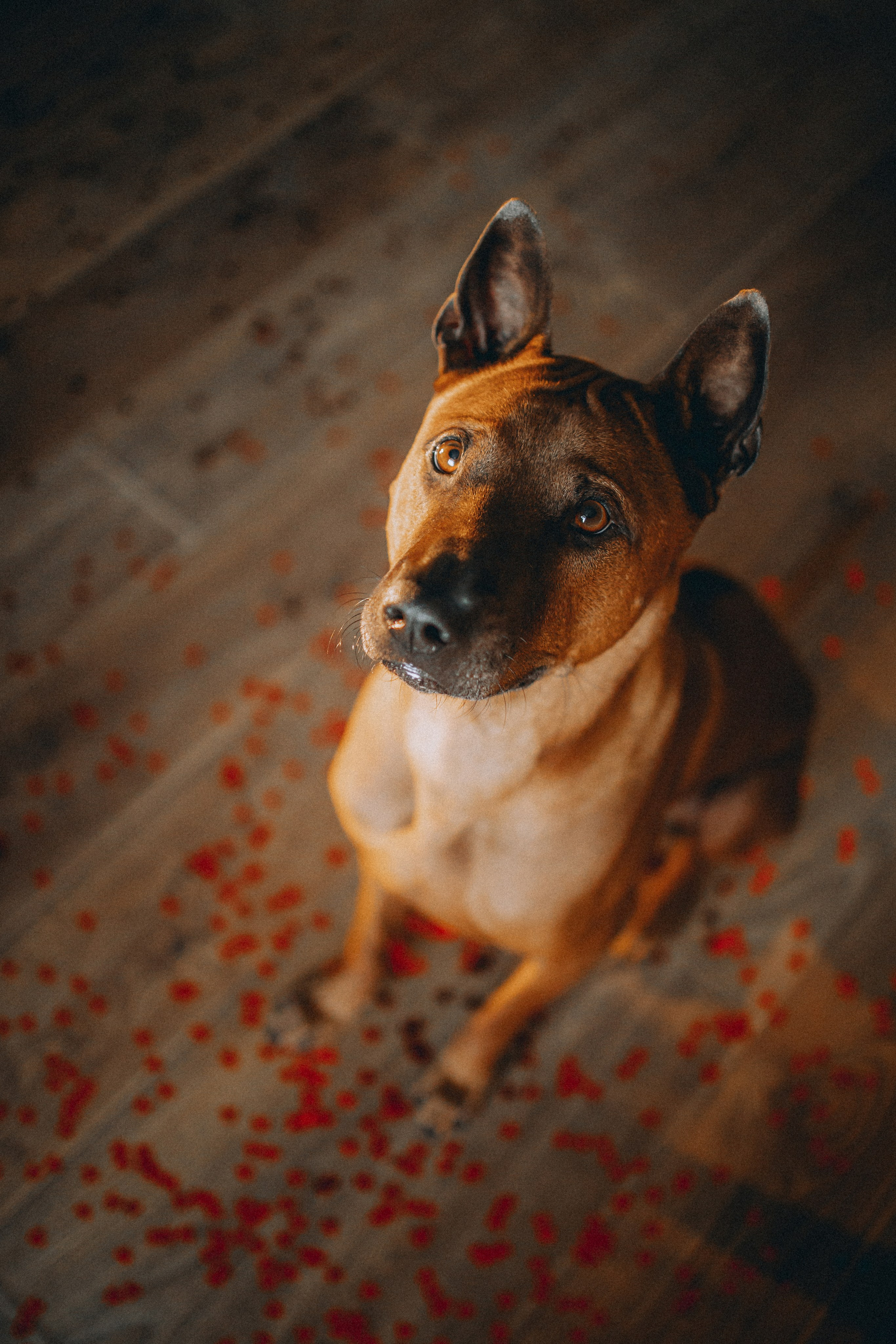 Оксана и Зевс