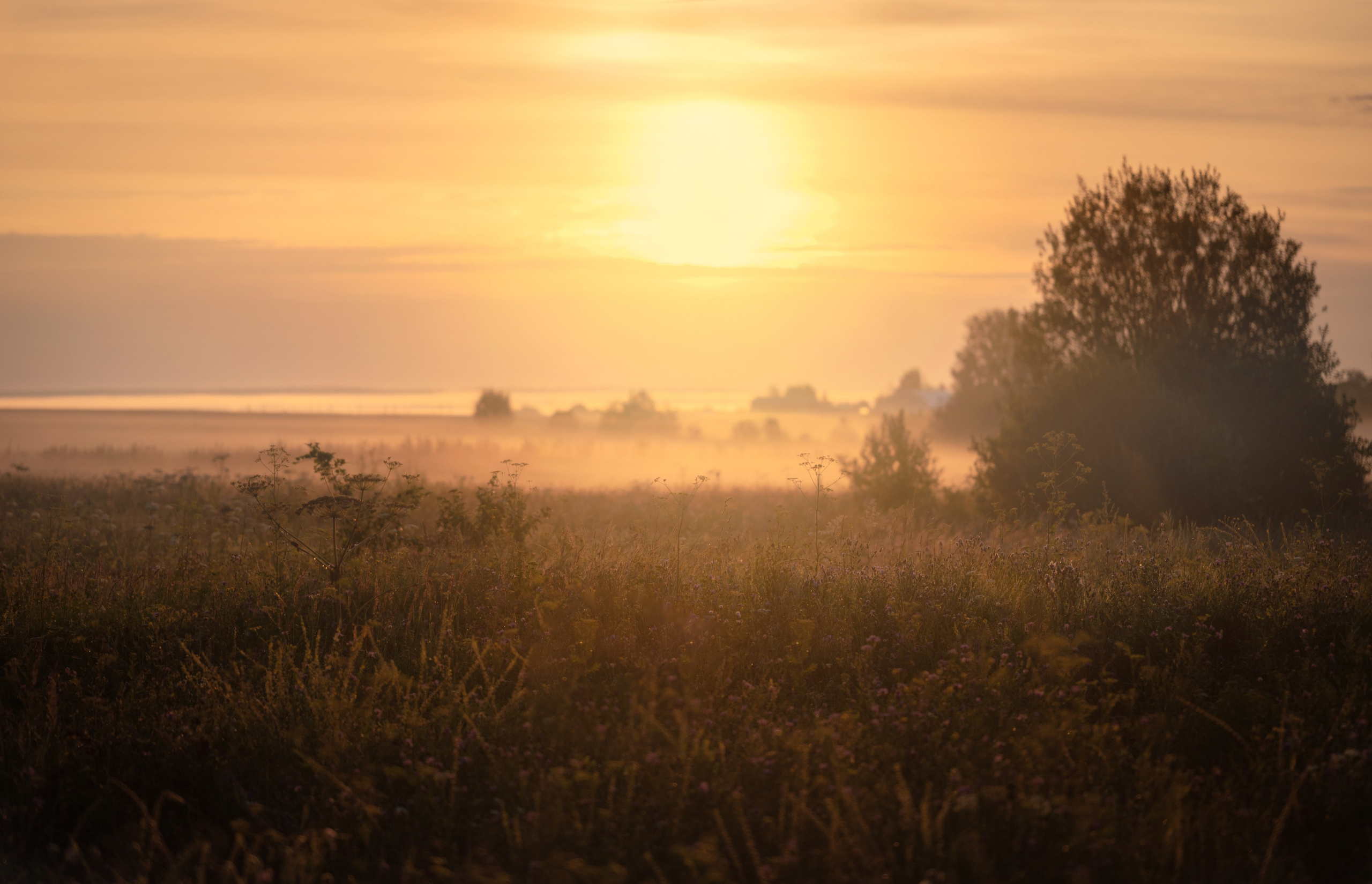 Ты меня на рассвете разбудишь…. Детский и семейный фотограф
