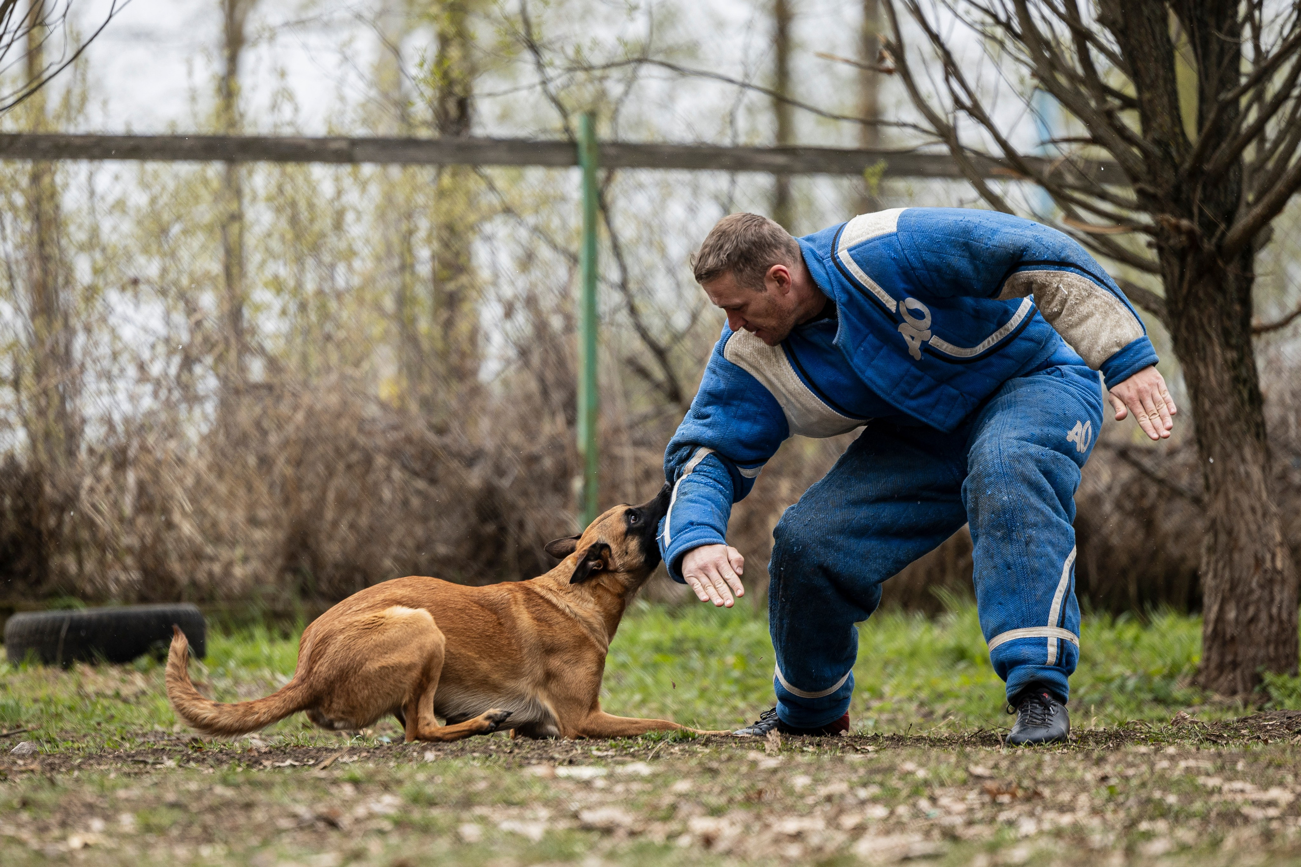 Квалификационные состязания по мондьорингу г. Вологда 11.05.24. Фотограф-анималист Анна Маринич