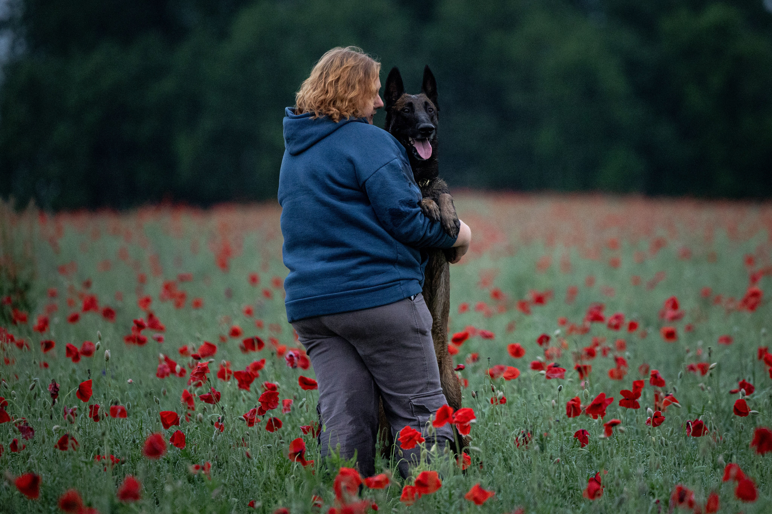 Маковое поле. Фотограф-анималист Анна Маринич