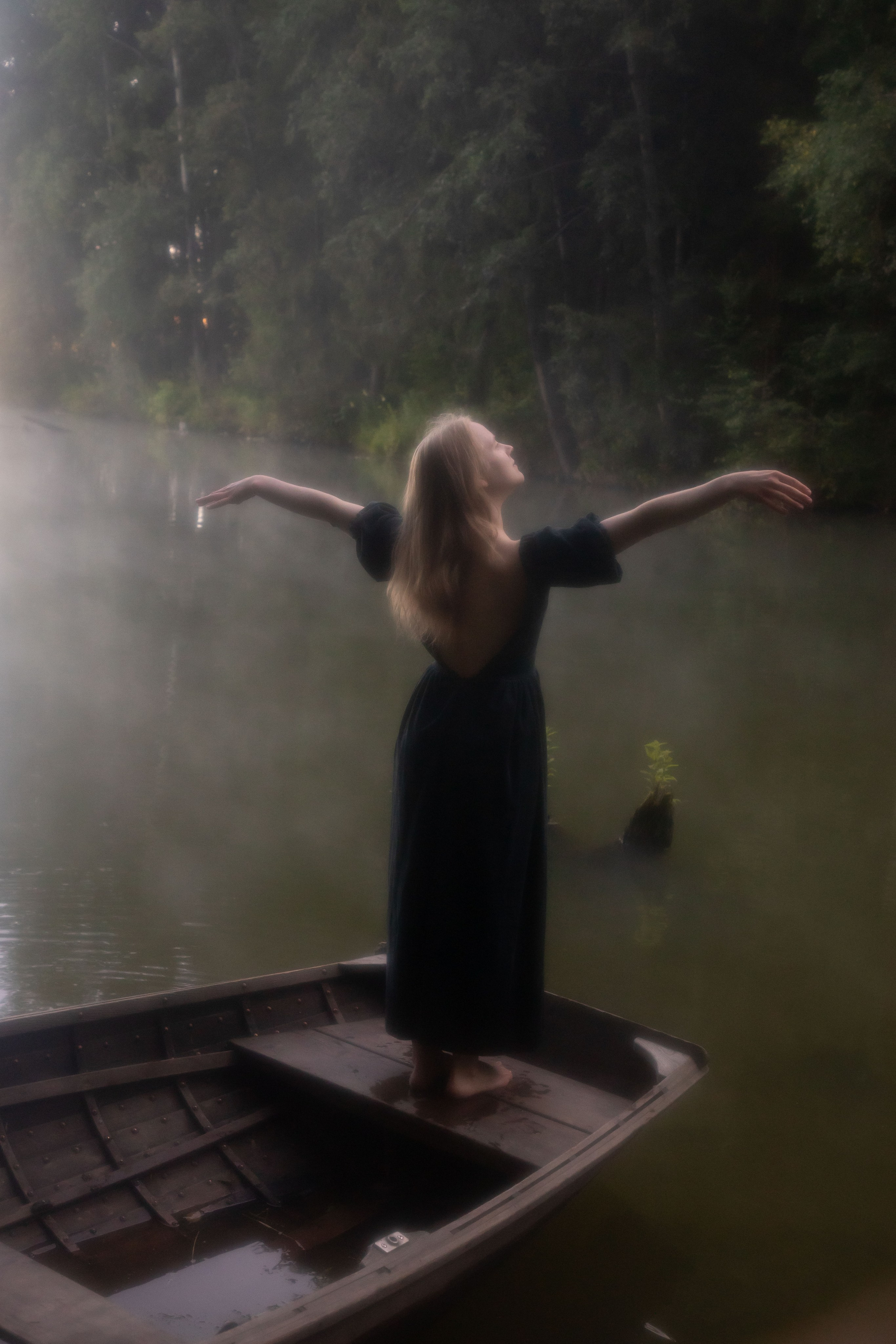 Рассветная в лесу. Юлия Башкатова, сказочный фотограф, Москва