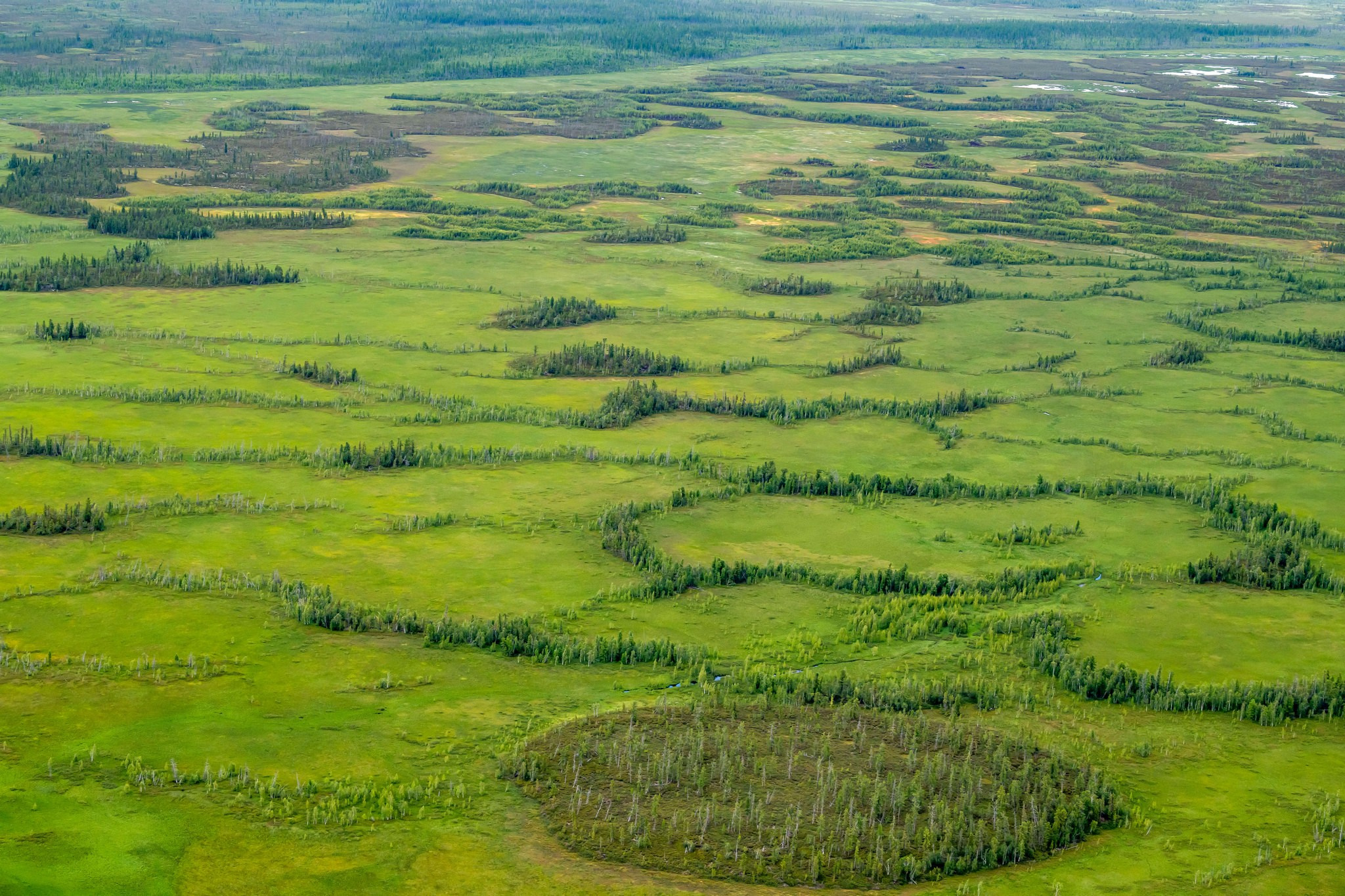 Пейзажный фотограф, Фотографии дикой природы. Foto-Zuev фотография как искусство