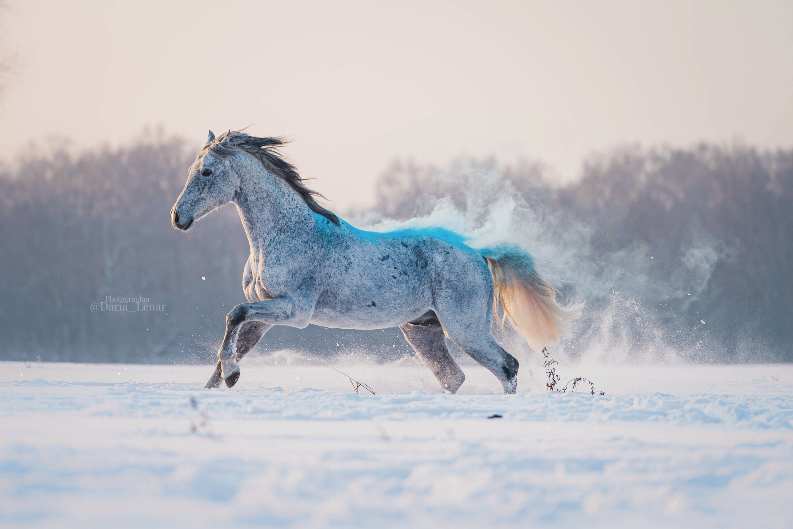Людмила, Калидор, Михаил. Фотограф в Москве Ленарская Дарья