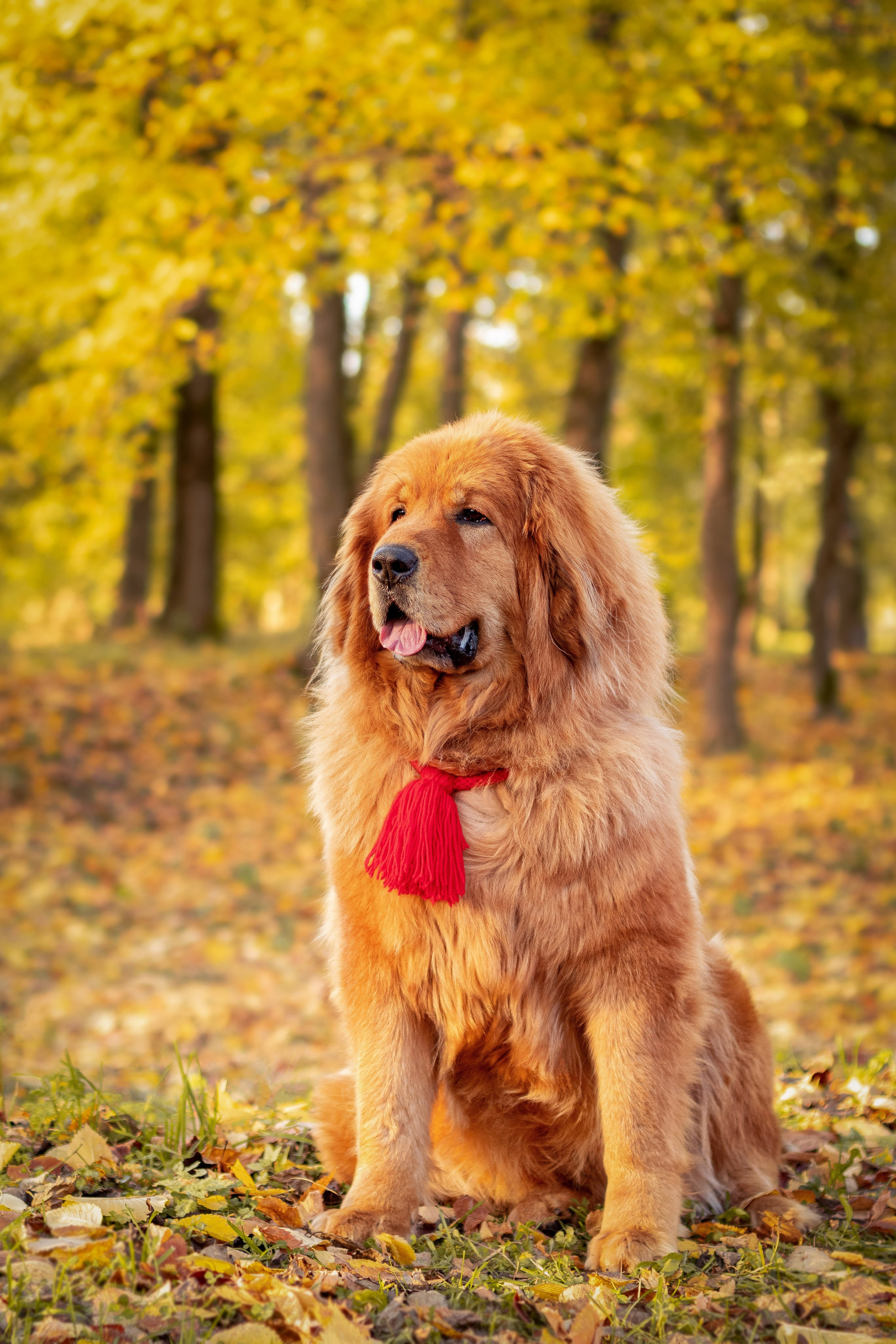 Роу. Юлия Микульская. Рыбинск