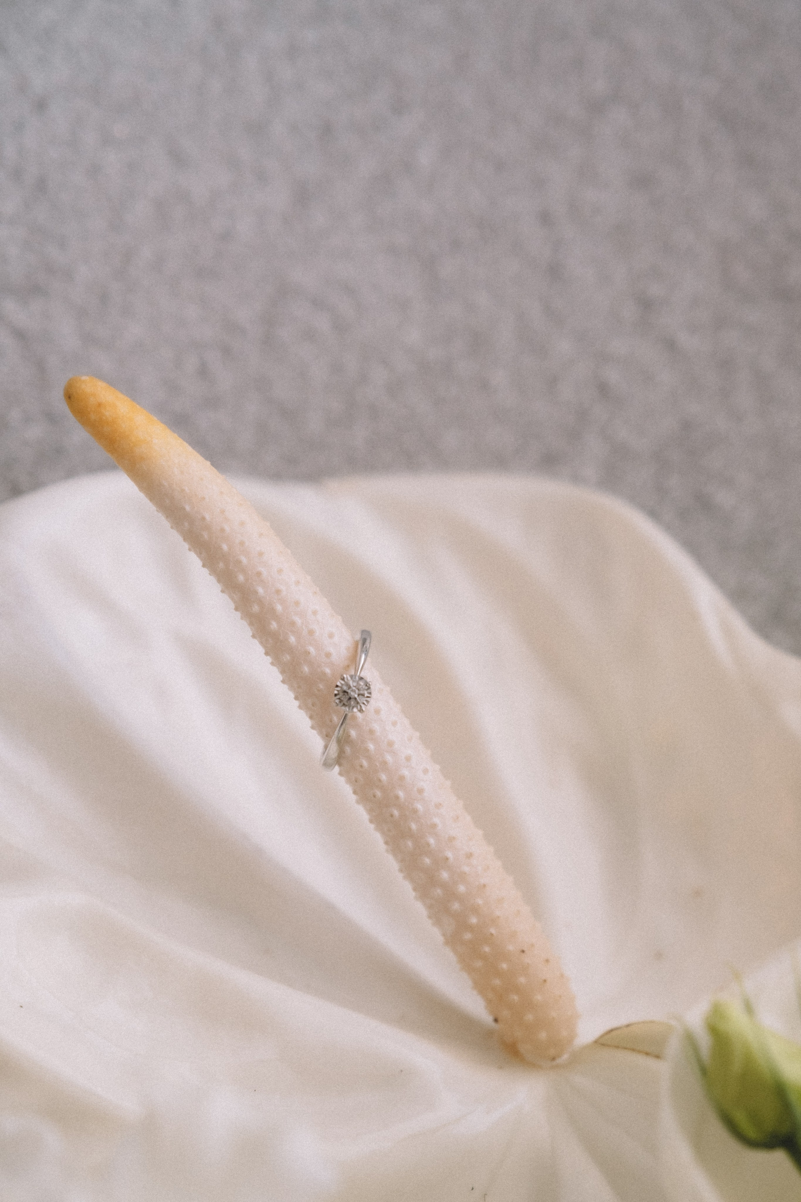 Анна Гусарова свадебный фотограф в Волгограде