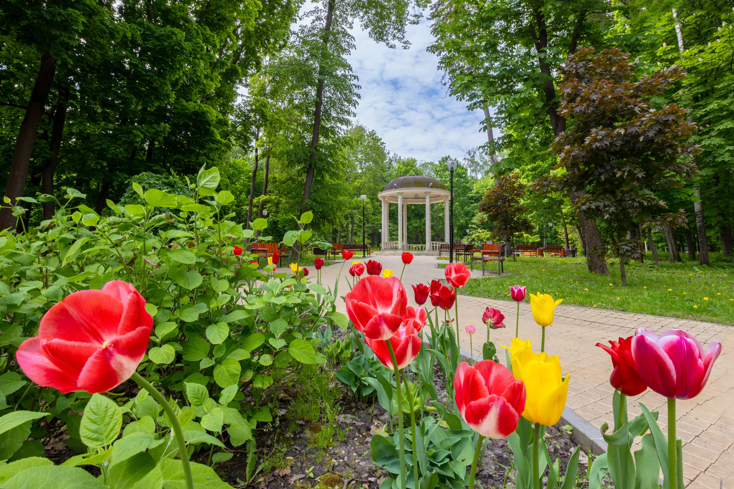 Парк им. П. П. Белоусова г. Тула 2024 г. Фотограф в Туле Крупский АнДРей. Фотостудия «КАДР71» в Туле