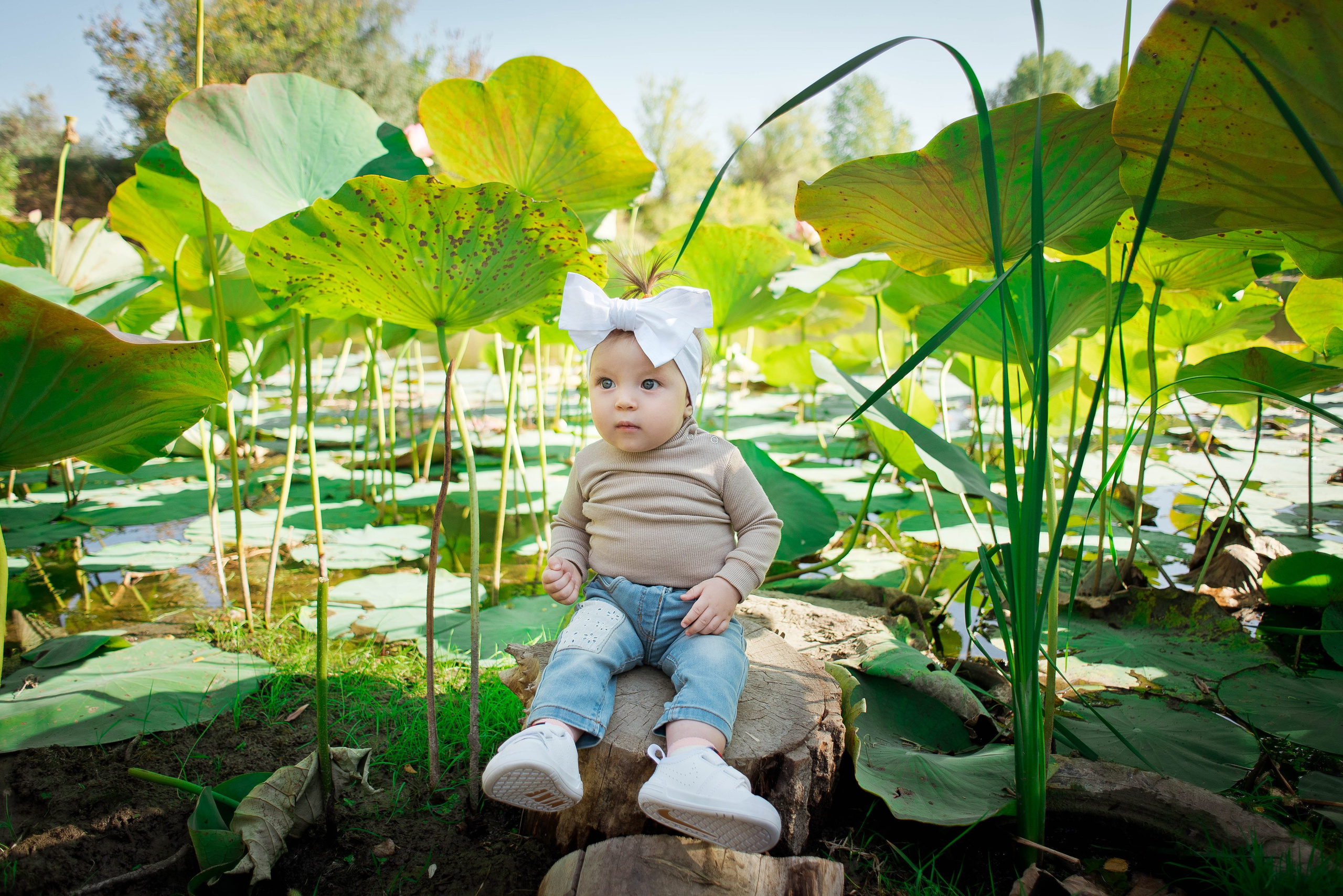 Лебяжья поляна. Свадебный и семейный фотограф Яна Стражева. Волгоград, Москва