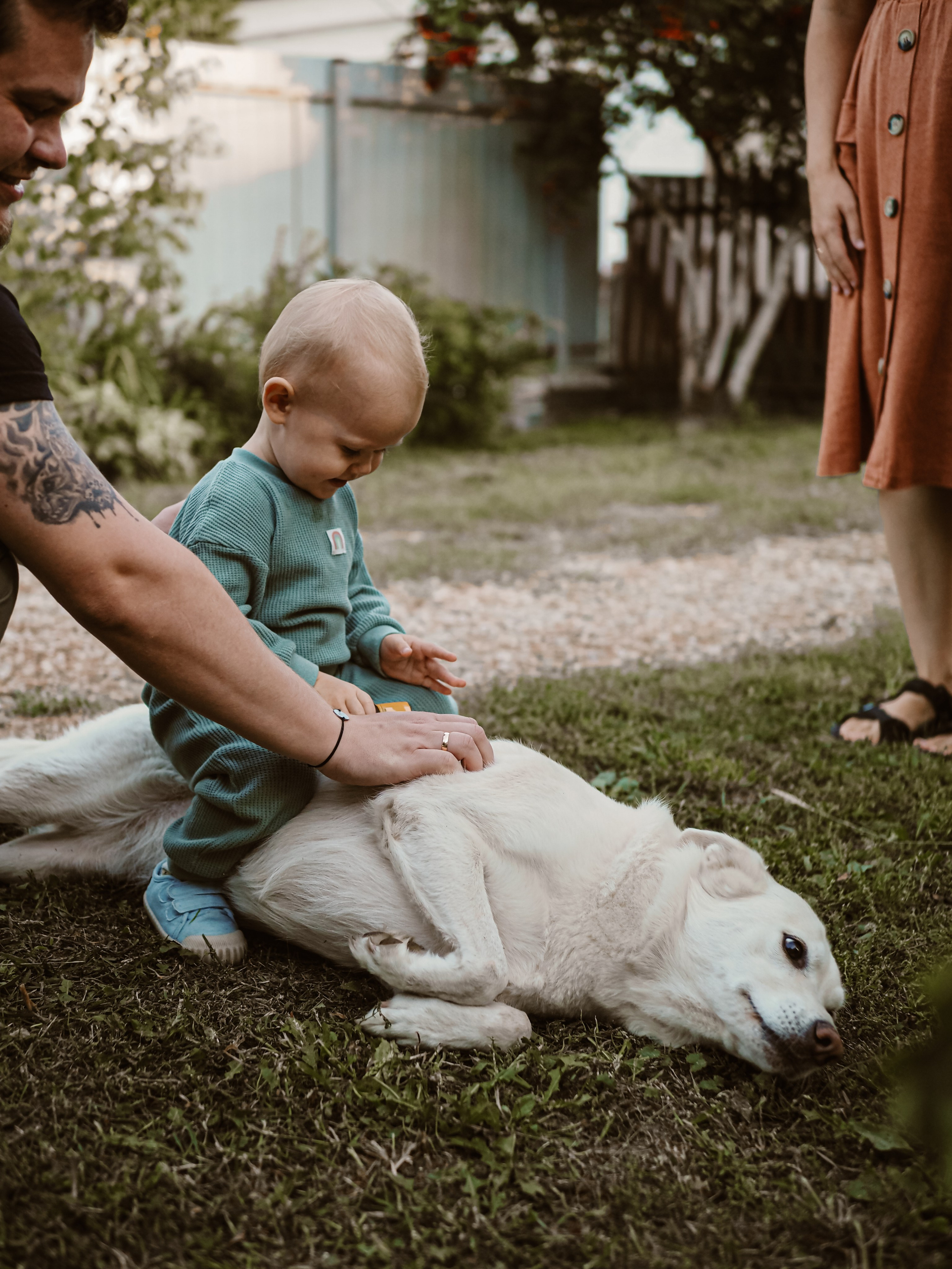 Поколения. Фотограф Рязань. Семейный Свадебный фотограф