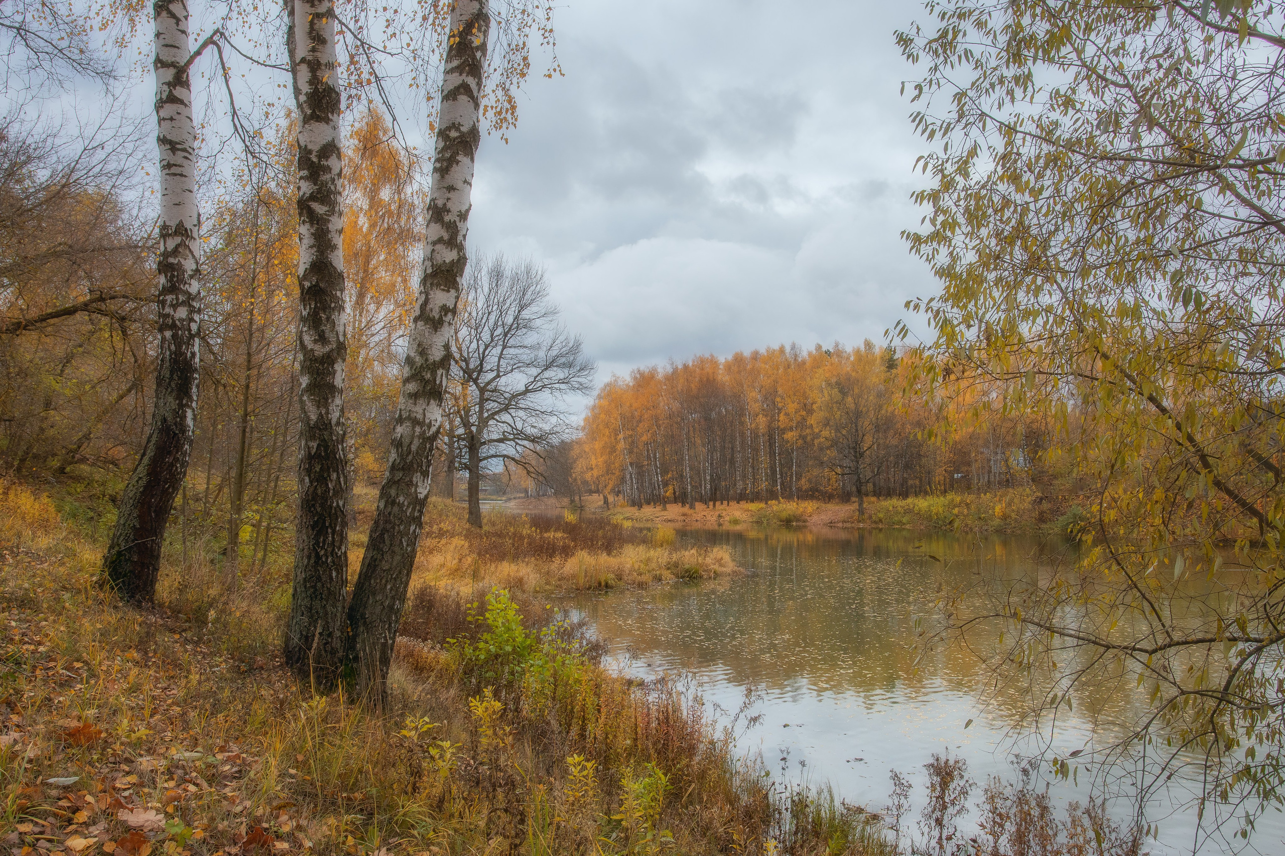 Природа (Осень). Фотограф Мартыненко Дмитрий
