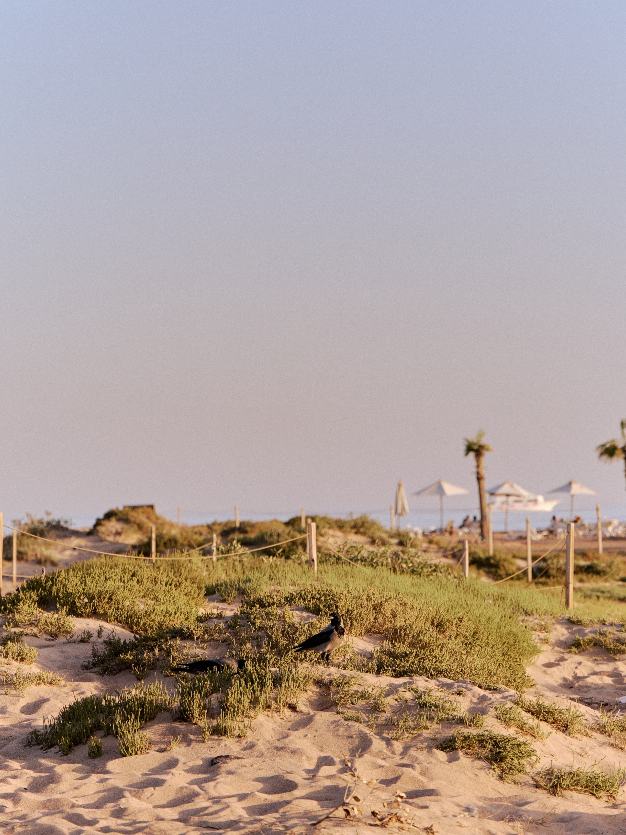 Другое 3. Jorgis — фотограф в Хургаде / обучение фотографии