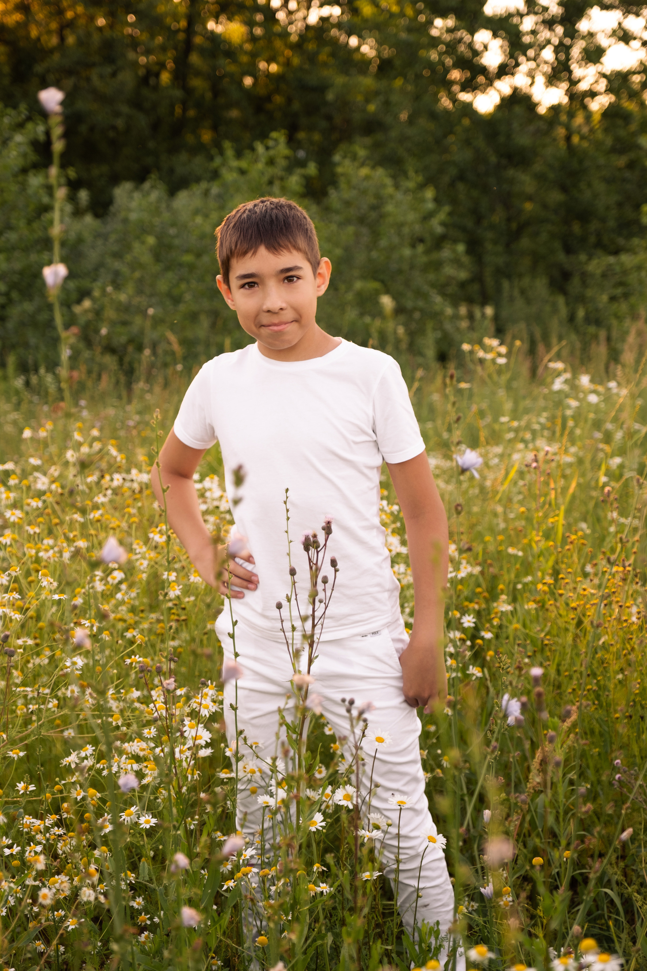 Ромашки. Фотограф в Подольске Яковлева Ольга