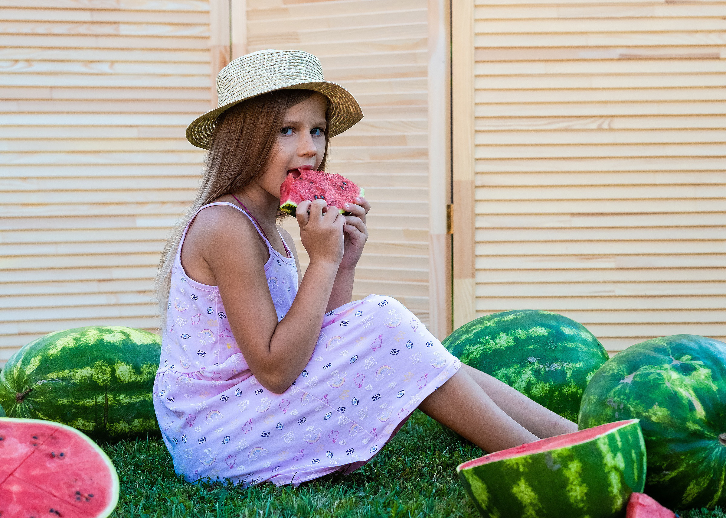 Арбузное лето. Фотограф в Подольске Яковлева Ольга