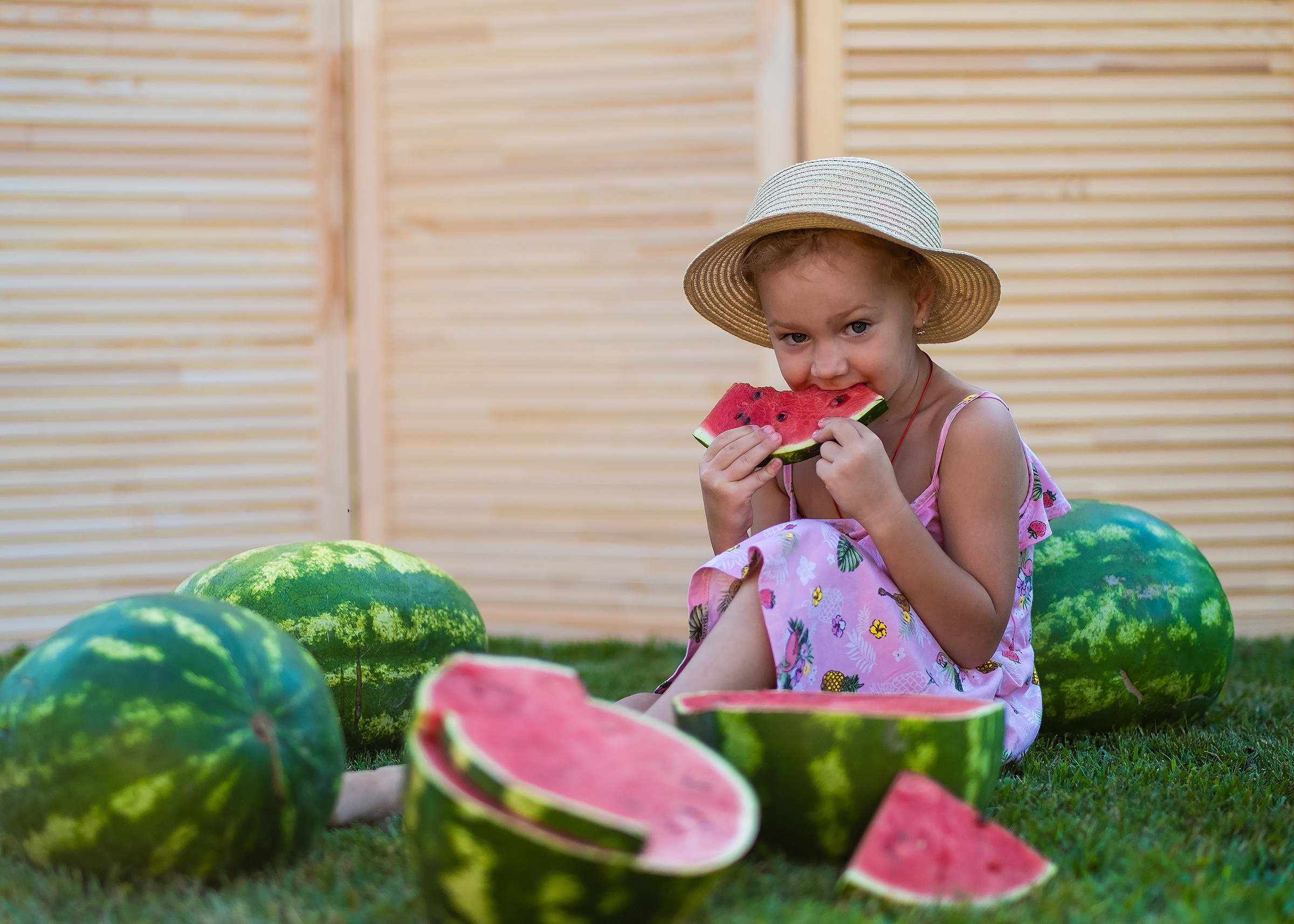Арбузное лето. Фотограф в Подольске Яковлева Ольга