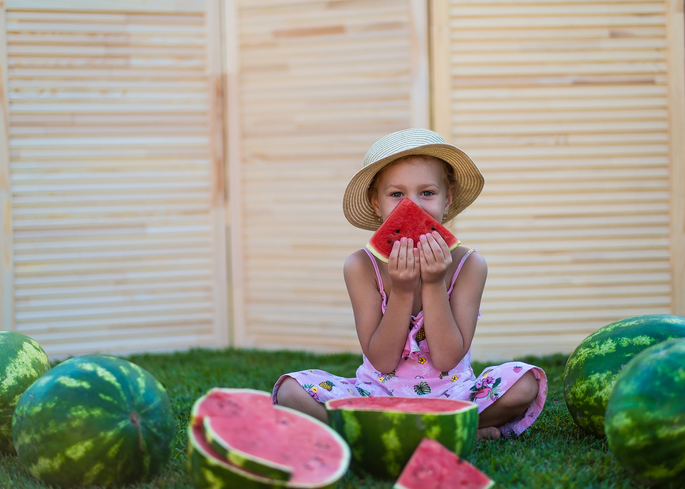Арбузное лето. Фотограф в Подольске Яковлева Ольга