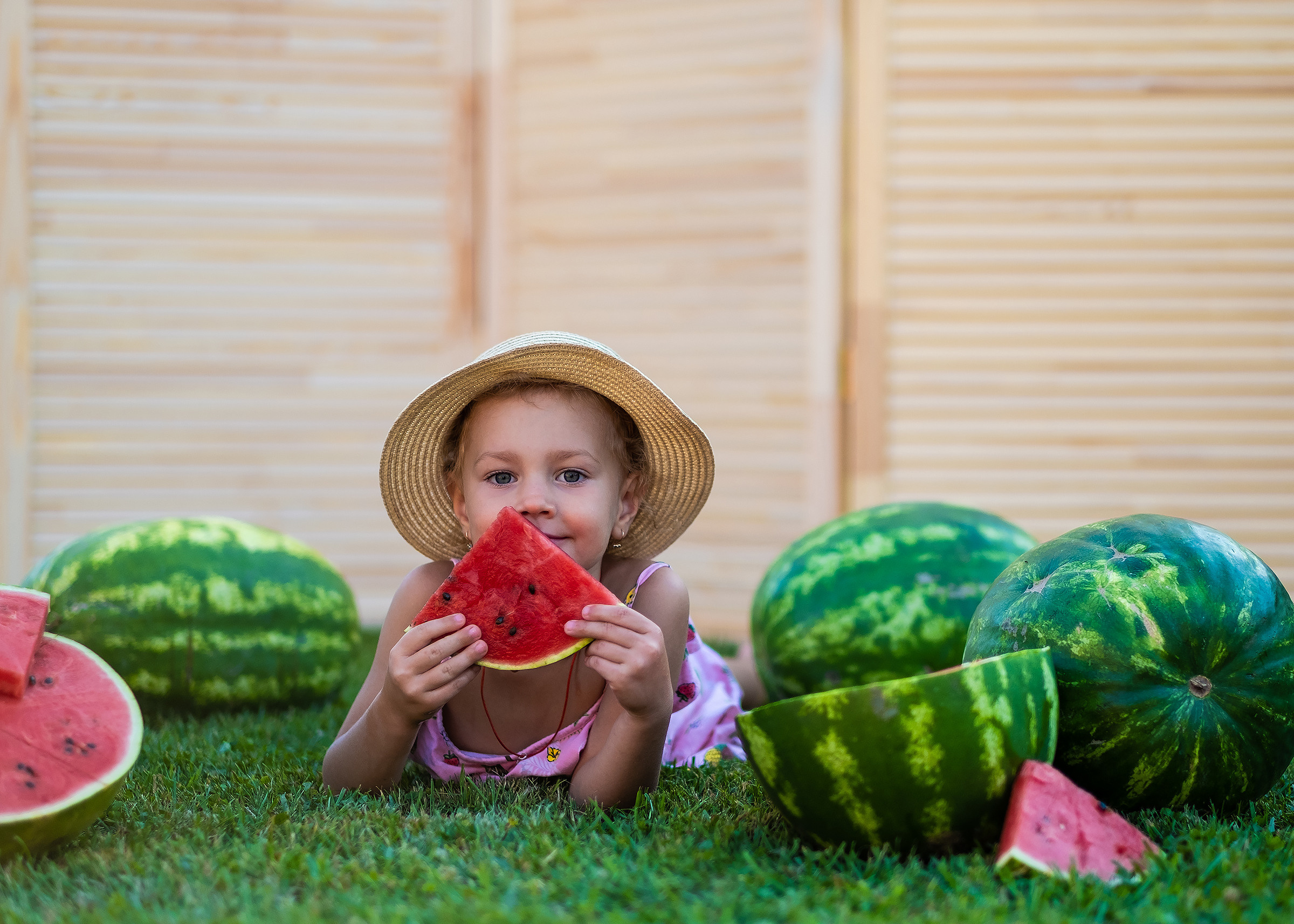 Арбузное лето. Фотограф в Подольске Яковлева Ольга