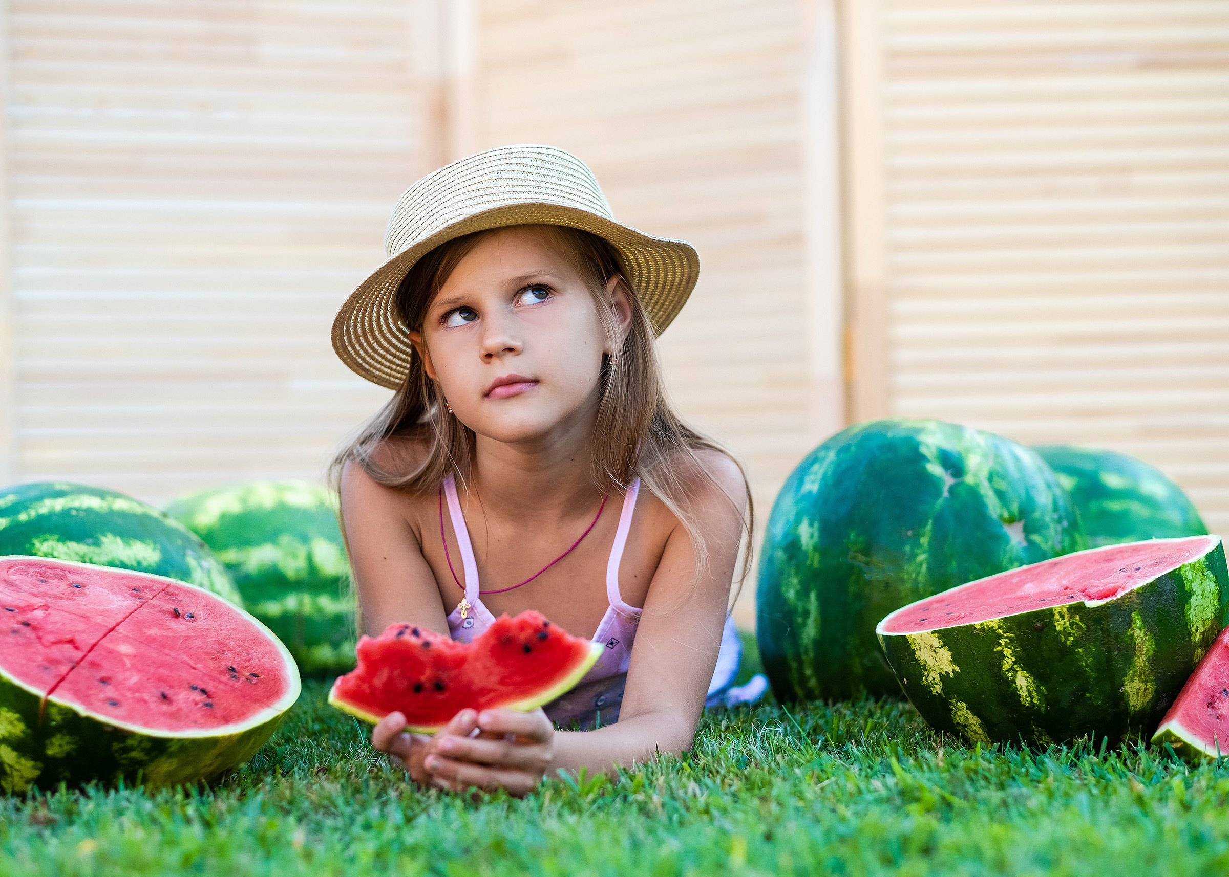 Арбузное лето. Фотограф в Подольске Яковлева Ольга
