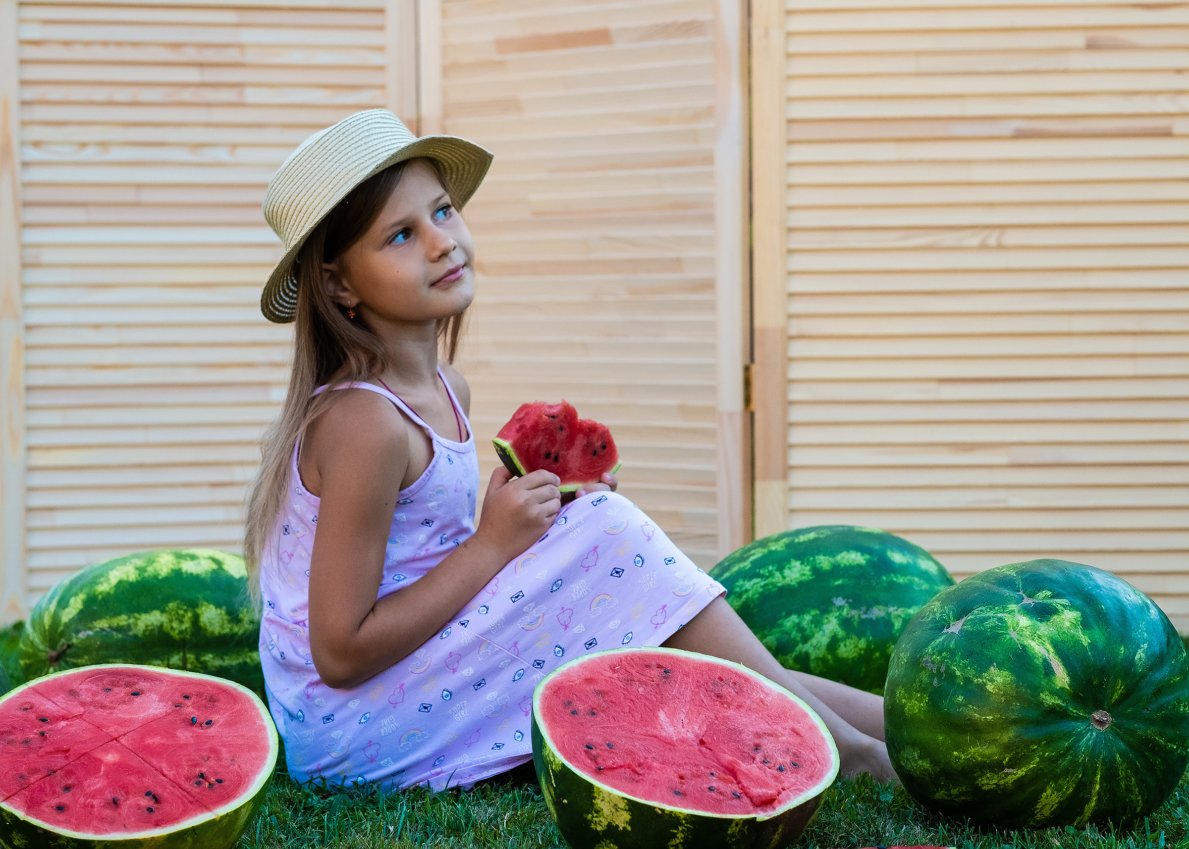 Арбузное лето. Фотограф в Подольске Яковлева Ольга